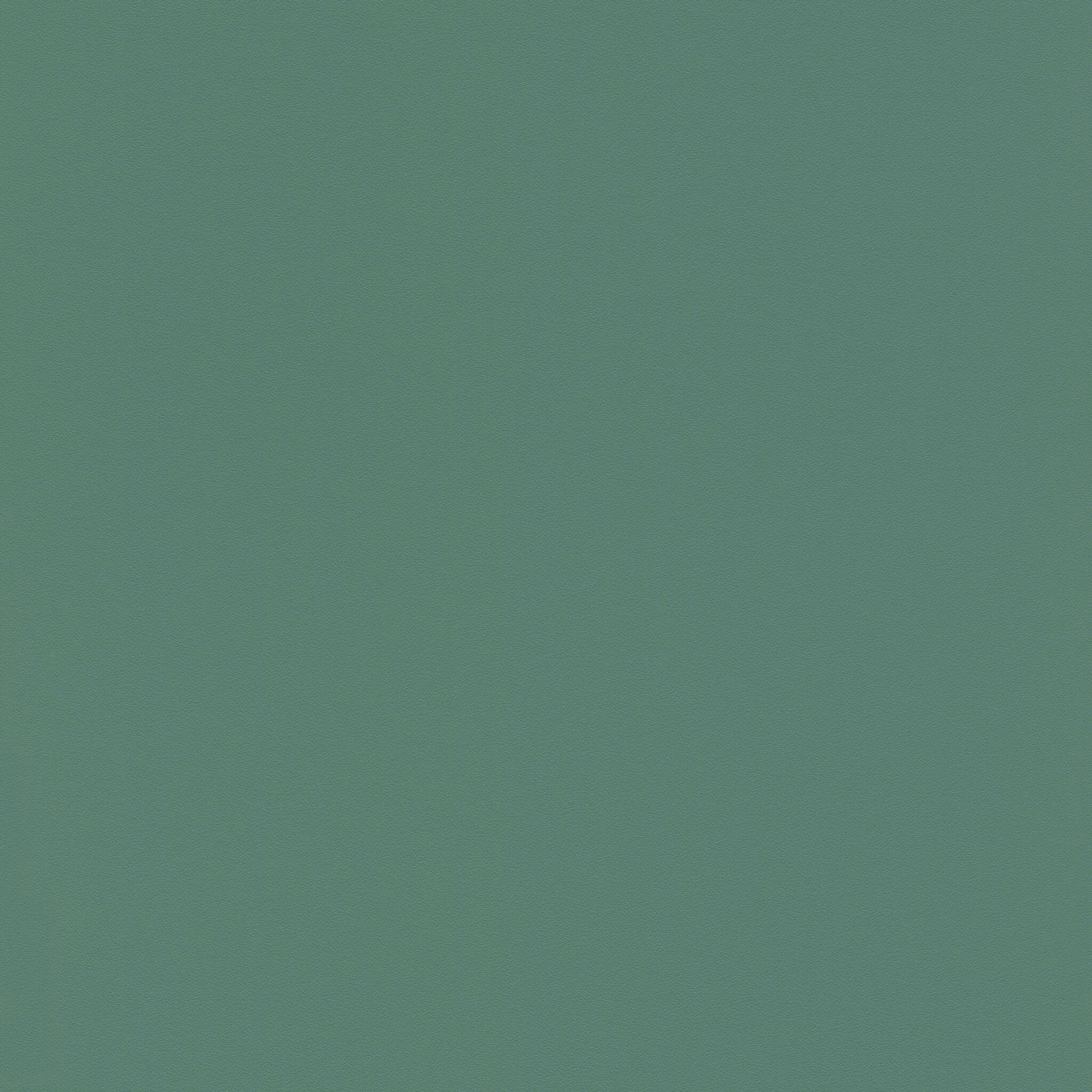 10-807615 Artikelscan 1 Non-woven wallpaper in green-moss green Selection vinyl/non-woven 807615