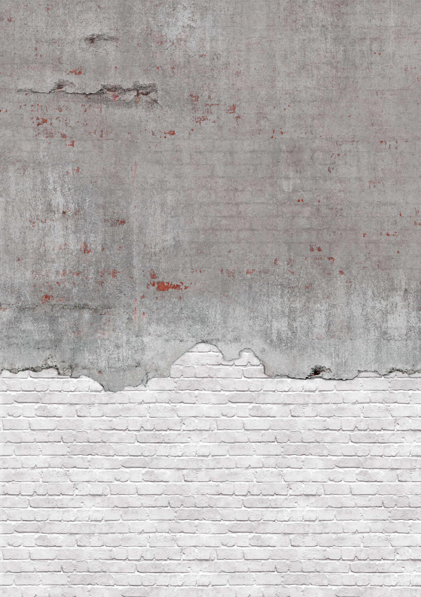 10-364279 Artikelscan 1