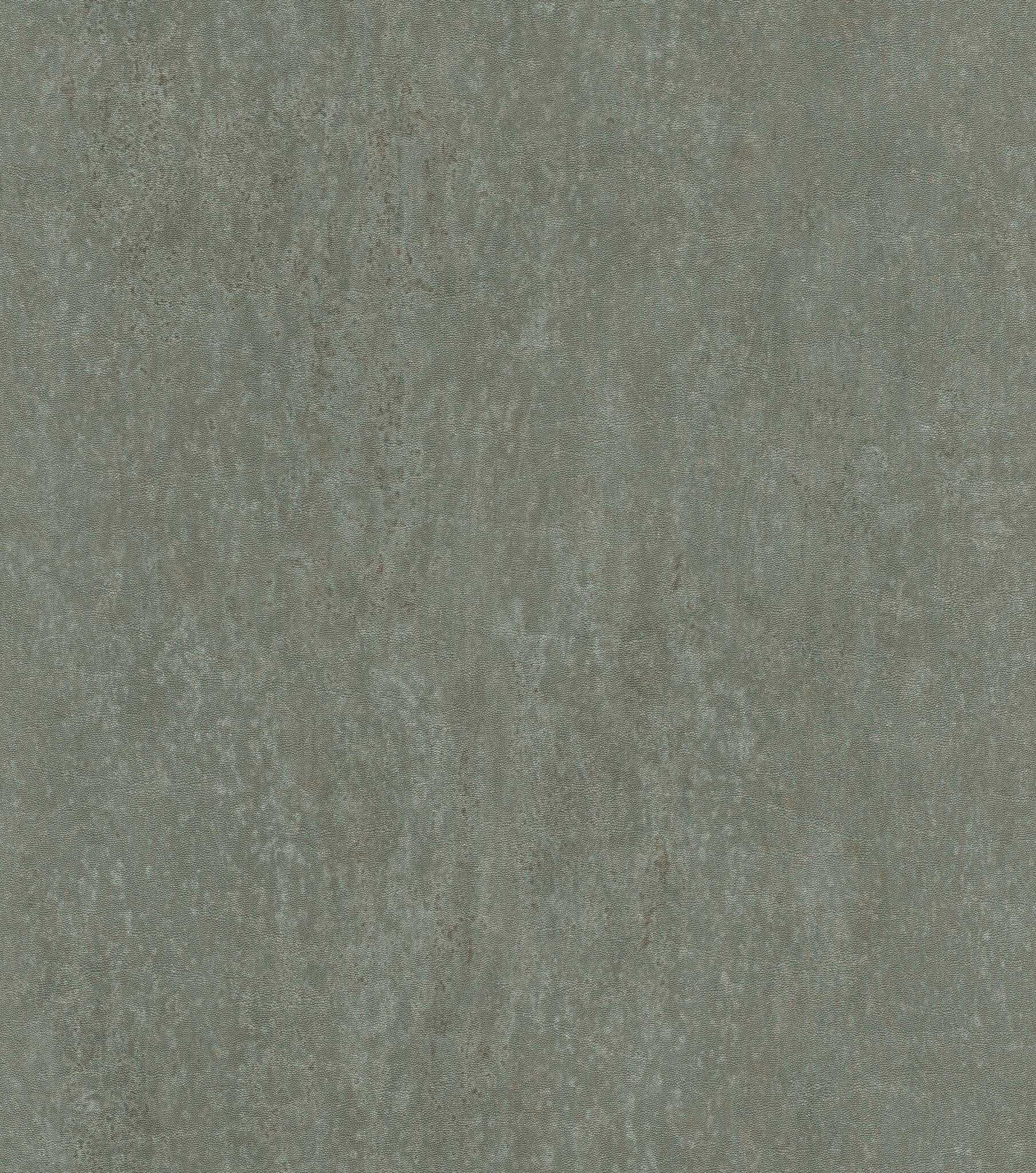 10-550078 Artikelscan 1 Non-woven wallpaper in light green-grey-green Selection 550078