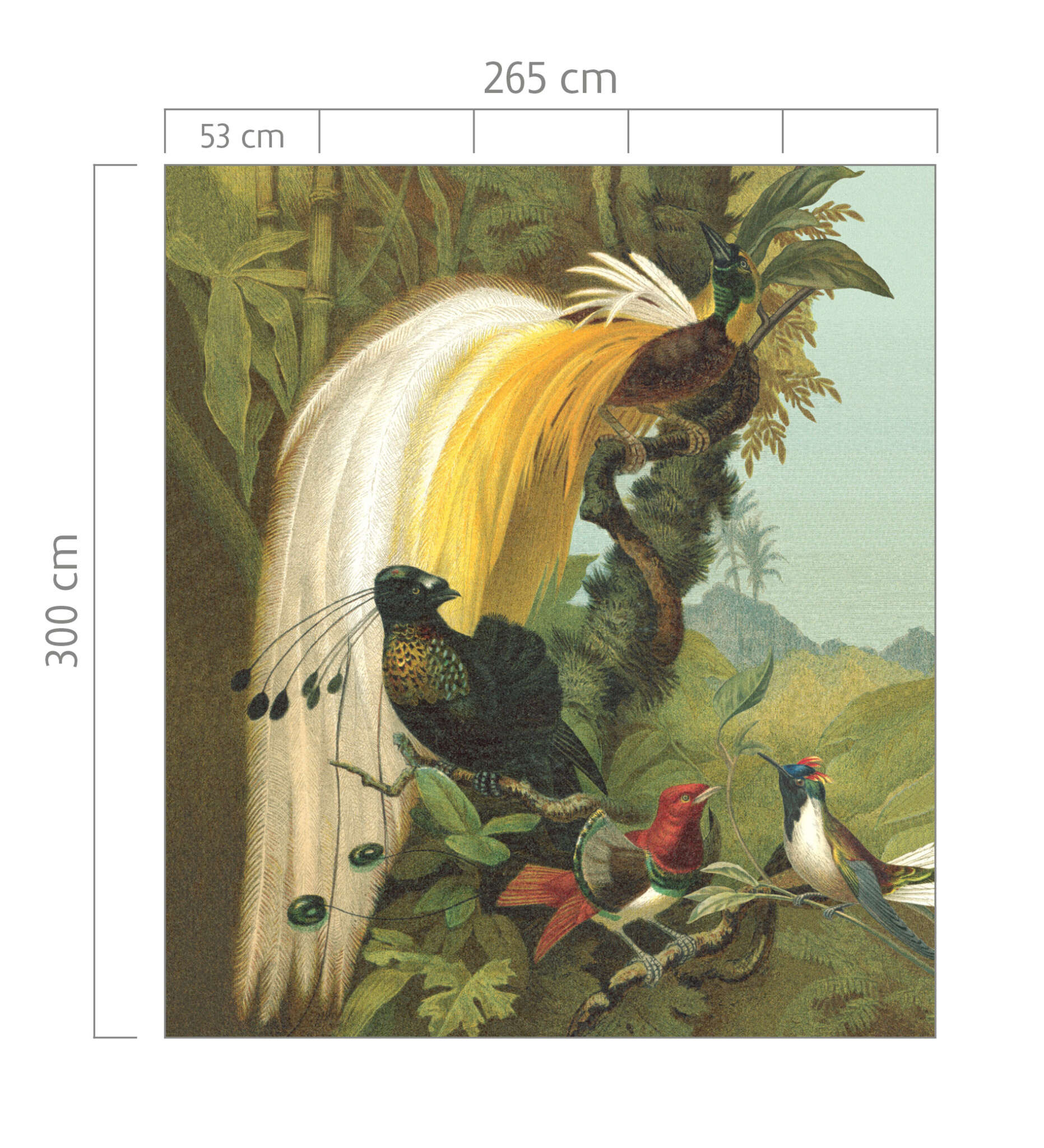 10-543780 Bildauschnitt 1 Curiosity wall mural 543780