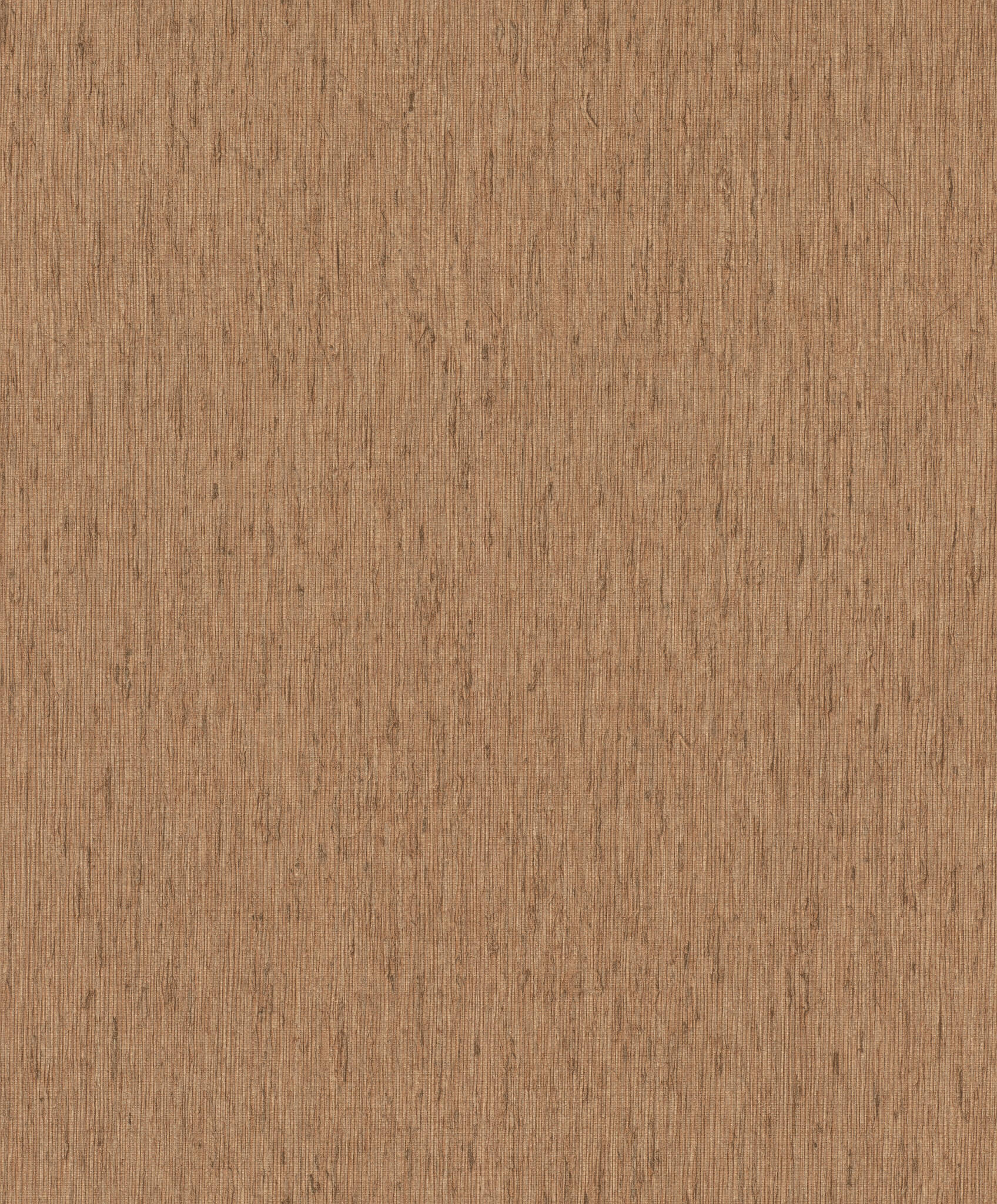 10-571080 Artikelscan 1 Papier peint intissé marron Back To Nature 571080