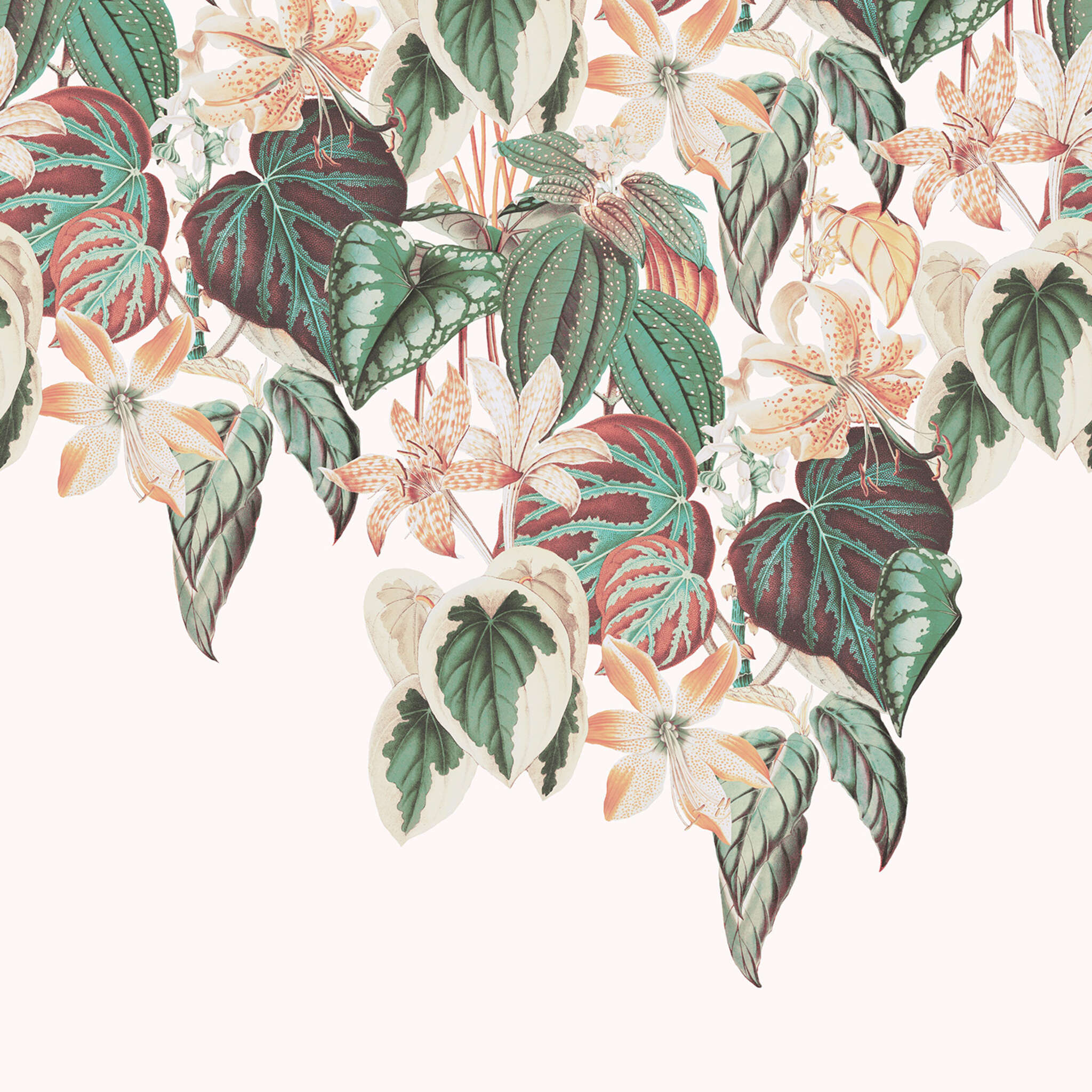 10-590036 D2C Vorschaubild 1 magicwalls photo wallpaper with flower tendrils 590036