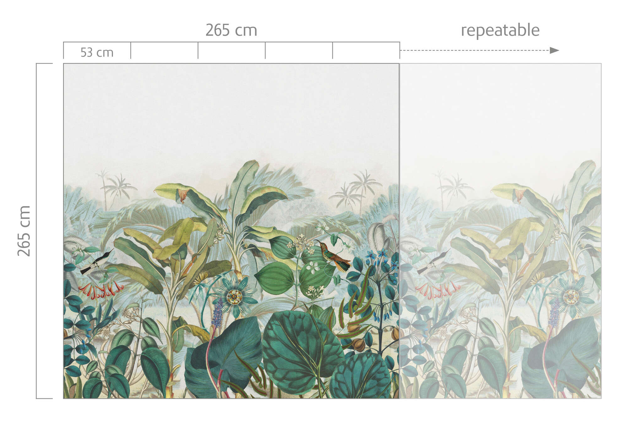 10-543650 Bildauschnitt 1