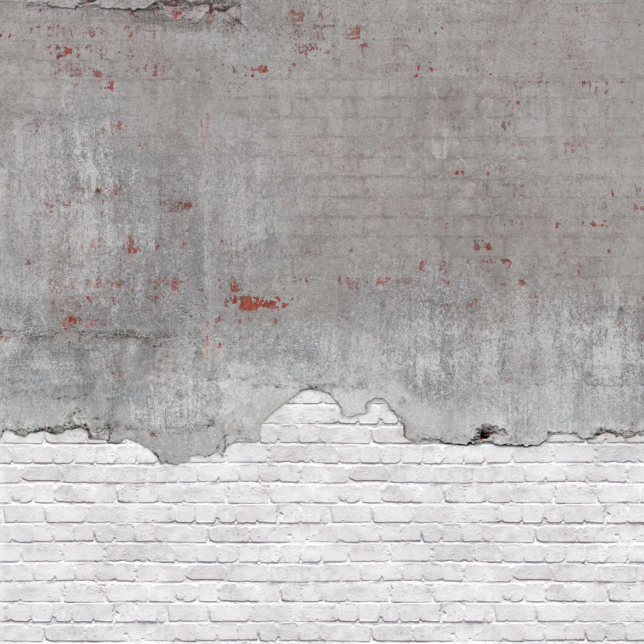 10-364279 D2C Vorschaubild 1