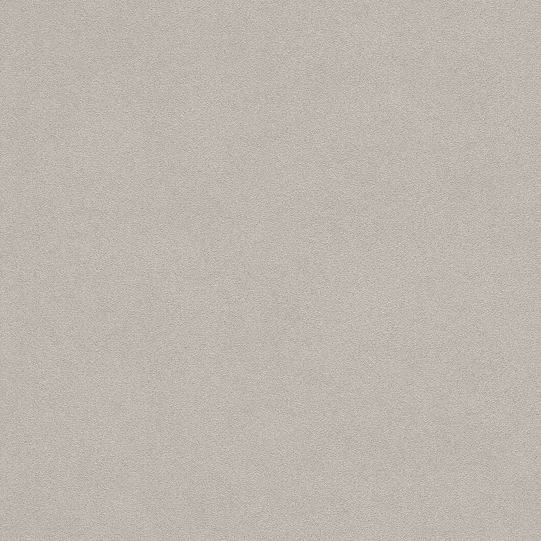 10-479409 Artikelscan 1 Dezente Vliestapete mit matter Oberfläche in einem erdigen Taupeton
