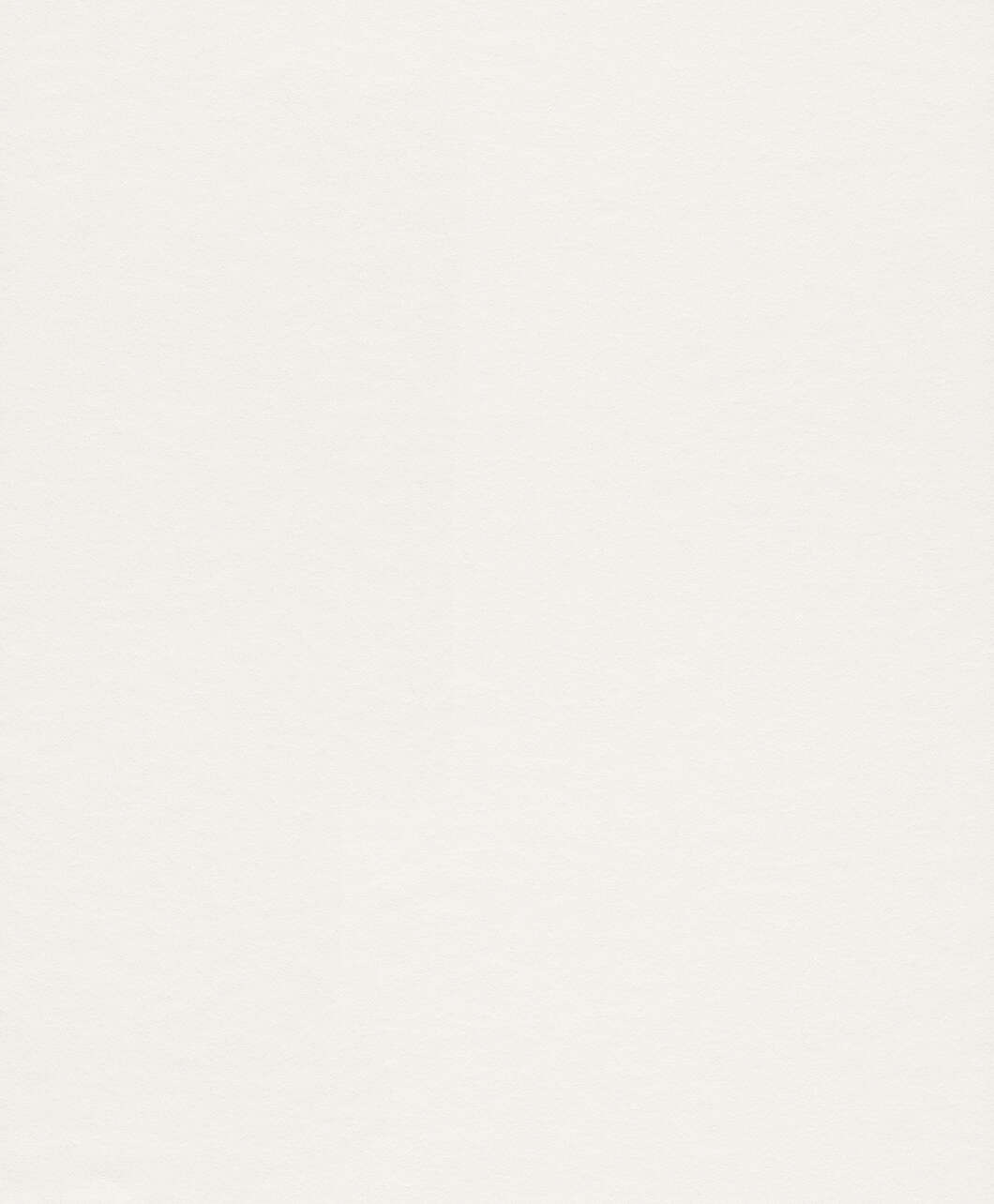 10-177602 Artikelscan 1 Malervlies Makulaturvlies 177602 - 25m x 1,06m - 120 g/m²
