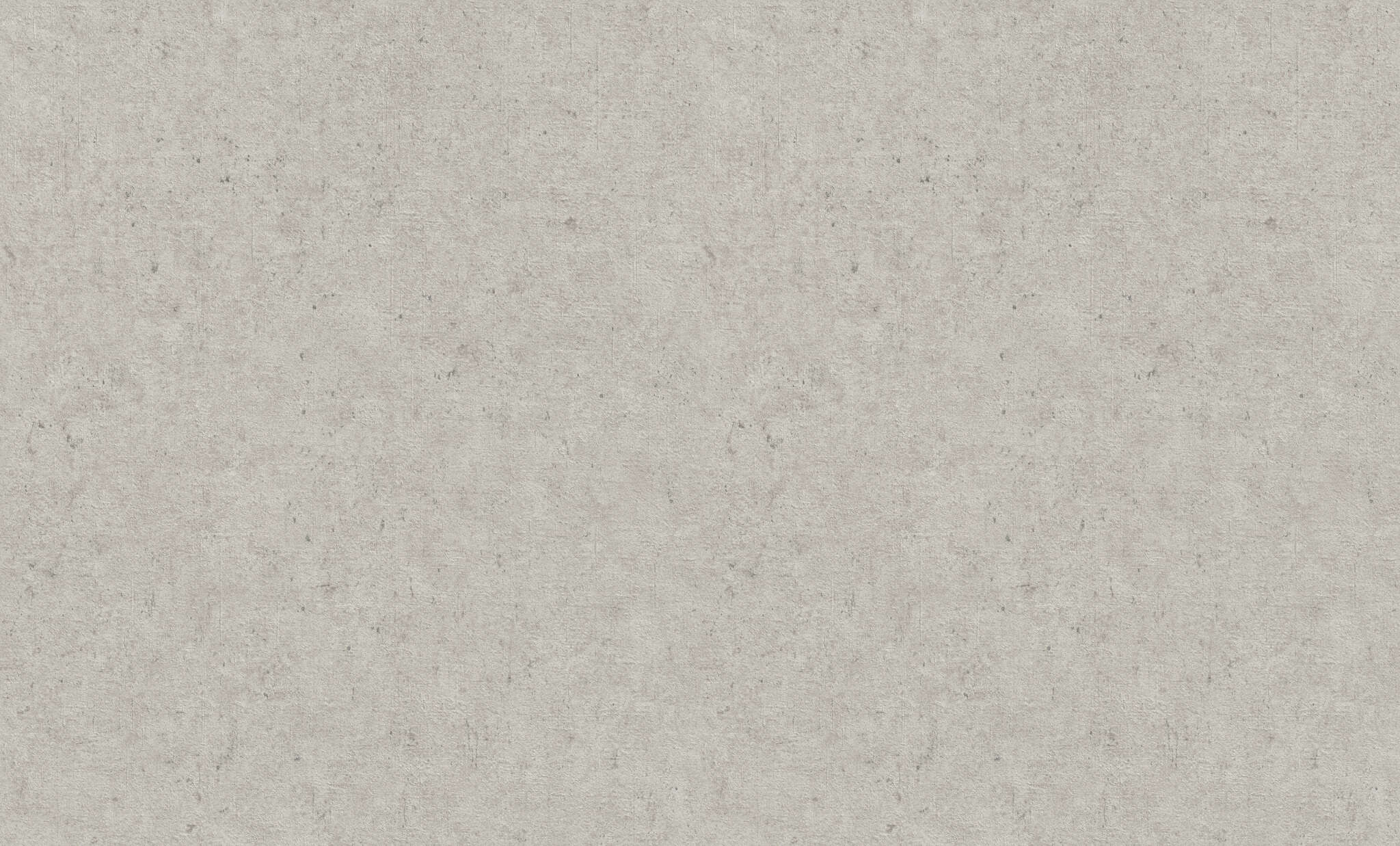 10-974225 Artikelscan 1 Beton Vliestapete in Grau-Hellgrau Wall Textures XL Vol. 4 974225