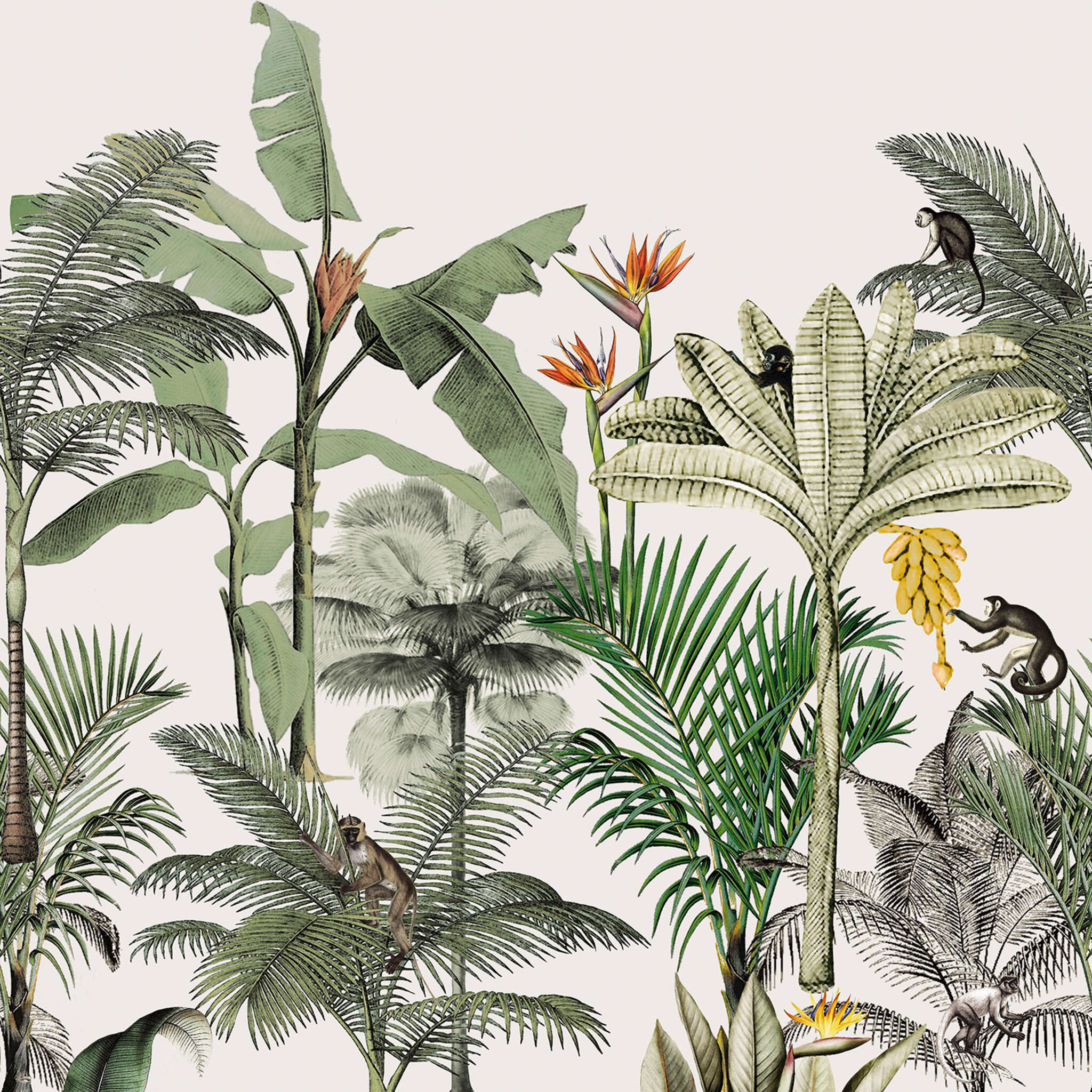 Club botanique wall mural 539172