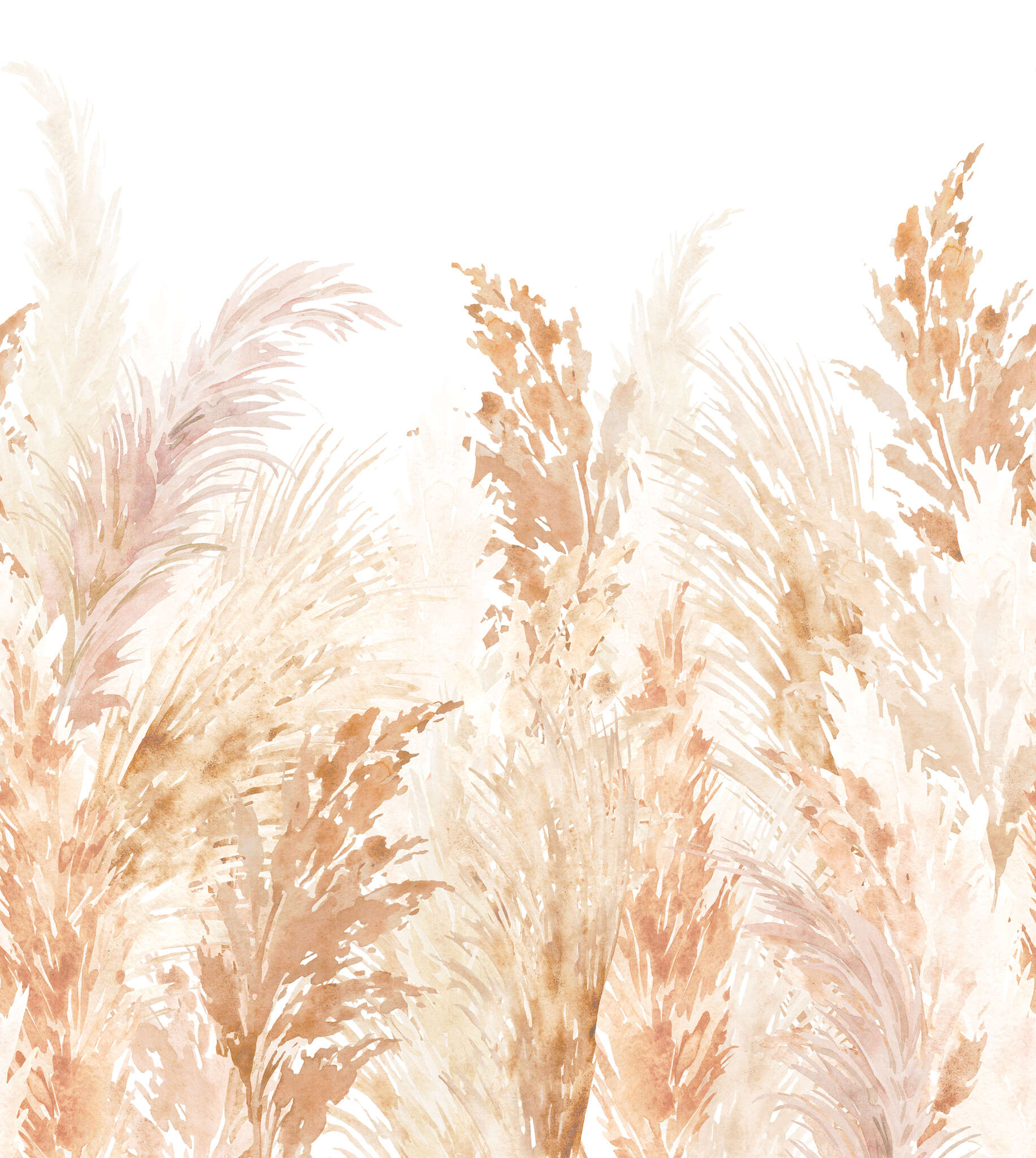 10-300073 Artikelscan 1 Wall mural Pampas in Brown | Roomblush - RB470