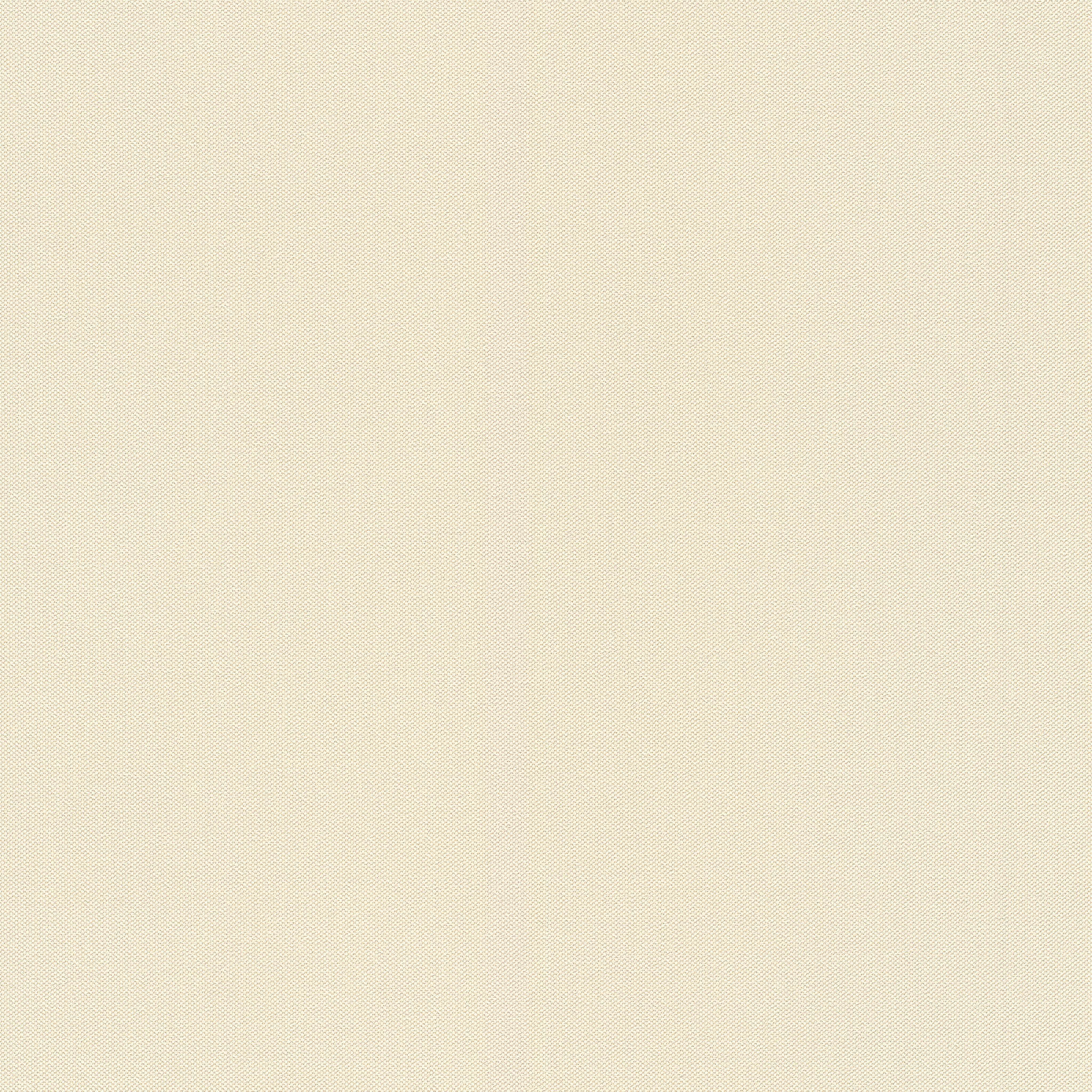 10-424058 Artikelscan 1 Plain non-woven wallpaper in beige with a textile-like surface.