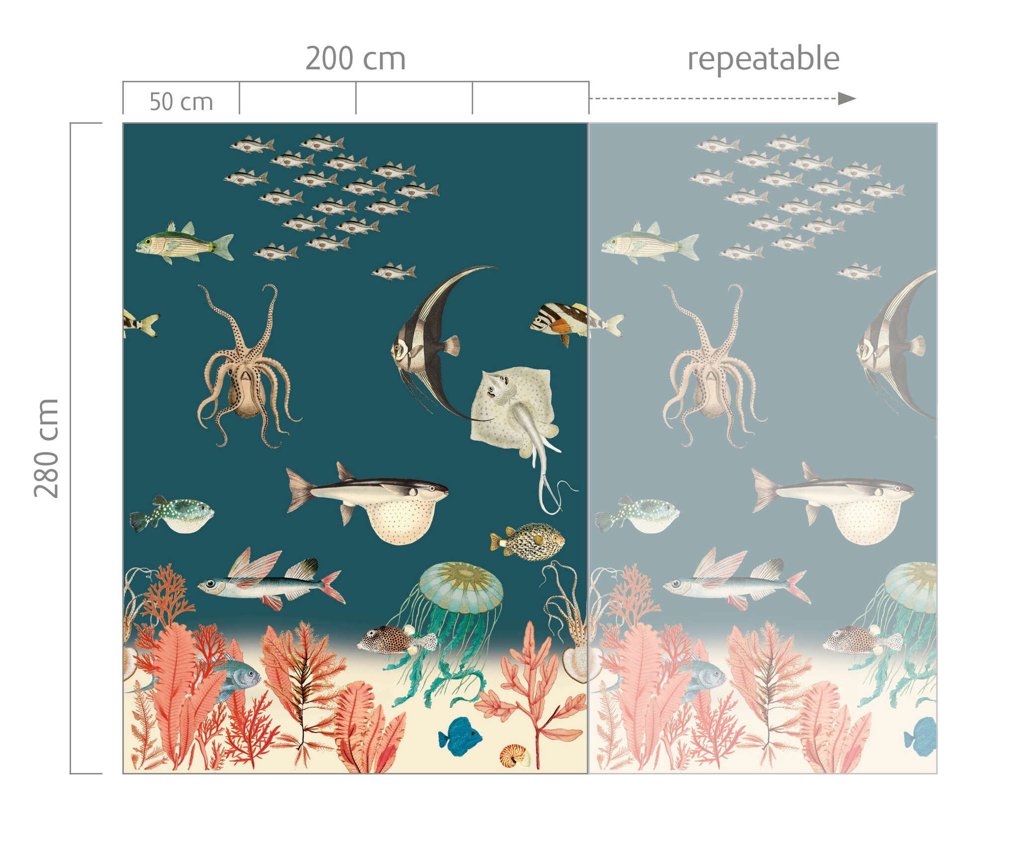 10-557633 Bildauschnitt 1 Onszelf Stories photo wallpaper fish 557633
