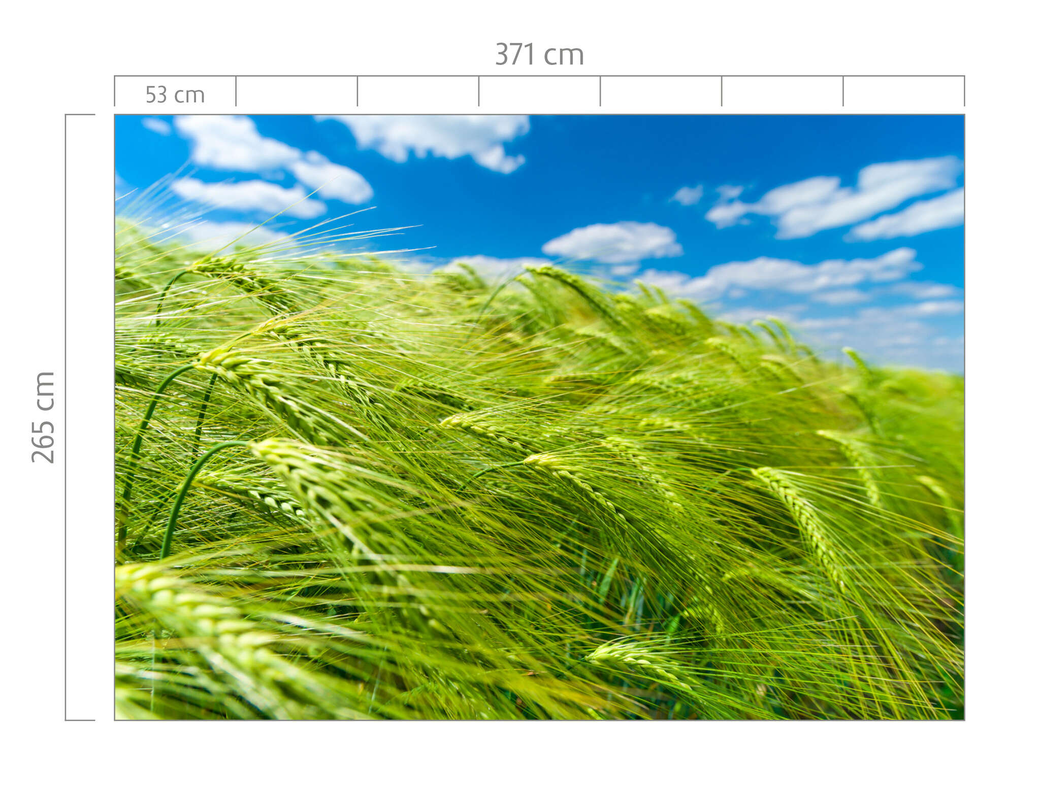 10-363746 Bildauschnitt 1