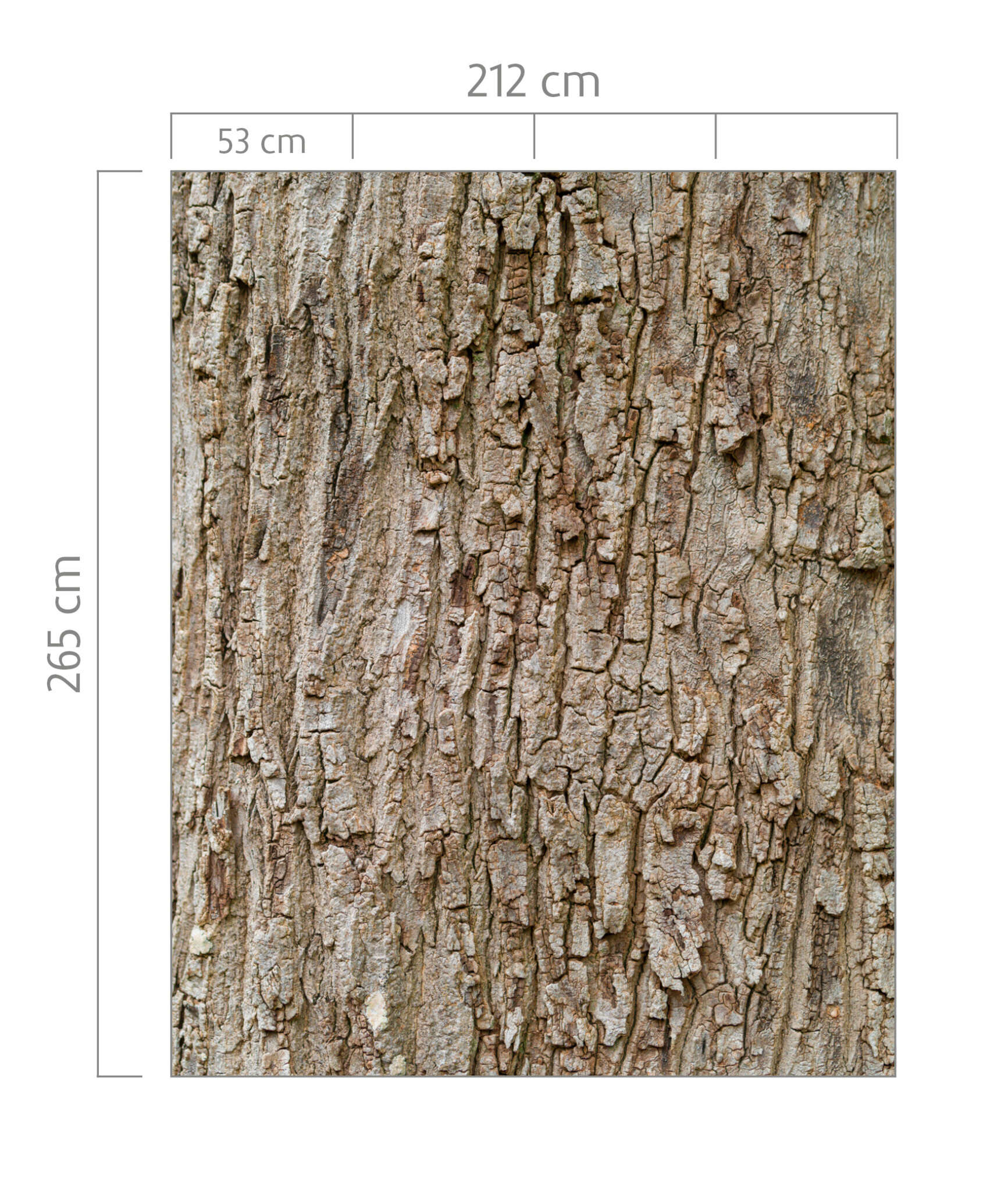 10-363777 Bildauschnitt 1 magicwalls photo wallpaper wood look 363777