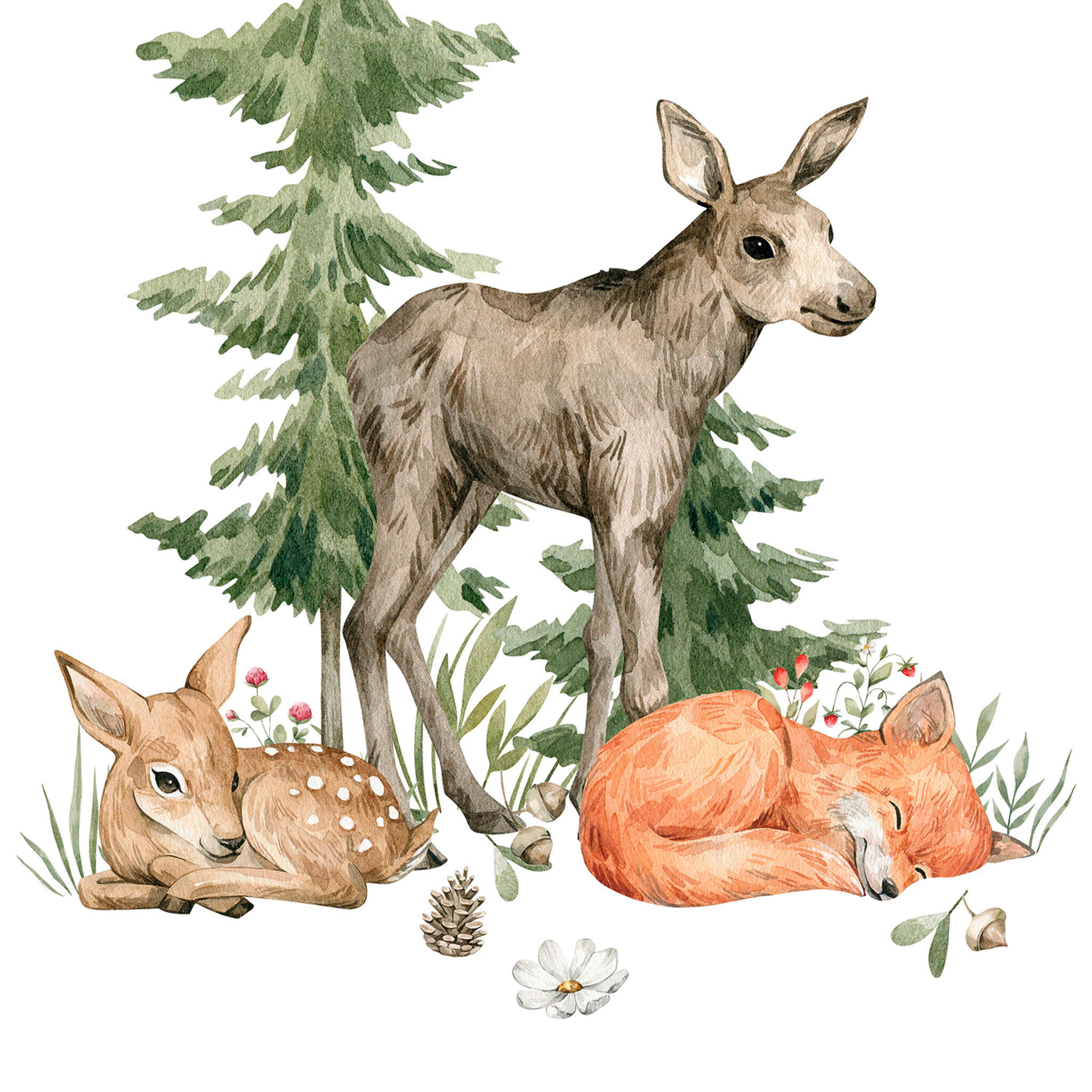 10-365009 D2C Vorschaubild 1