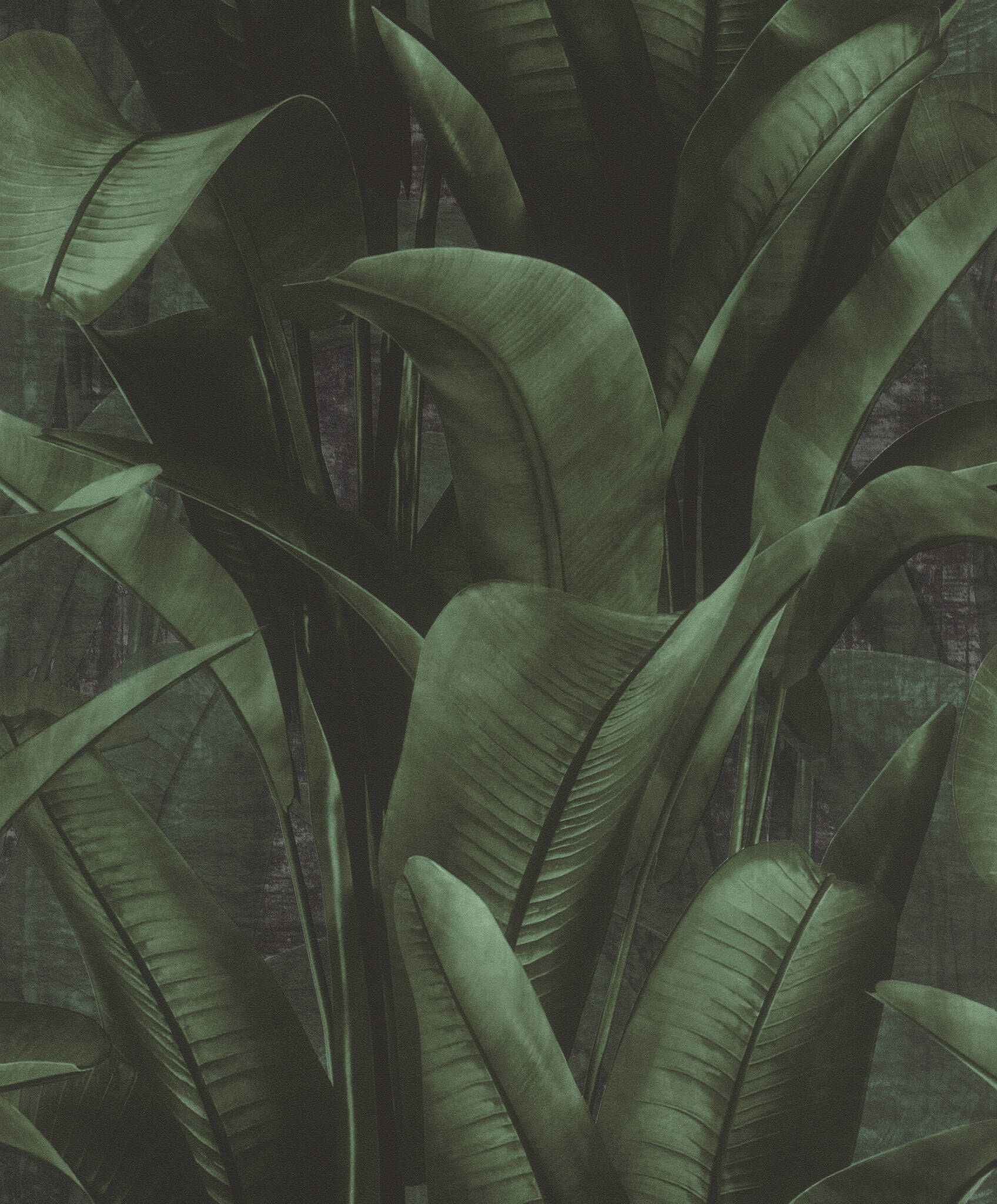 10-416237 Artikelscan 1 Non-woven wallpaper in green Back To Nature 416237