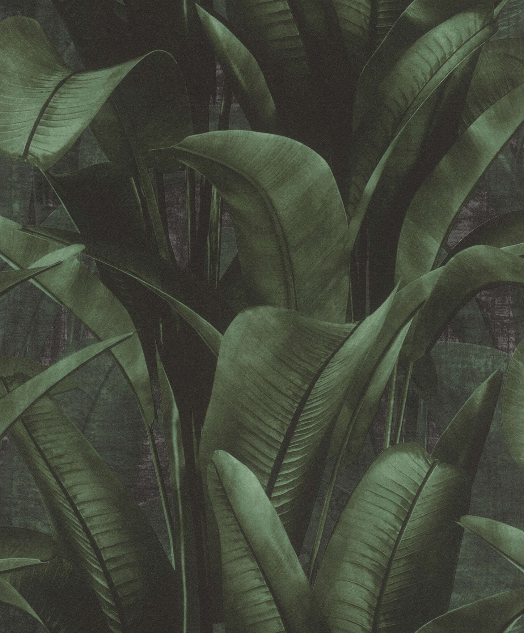 10-416237 Artikelscan 1 Non-woven wallpaper in green Back To Nature 416237