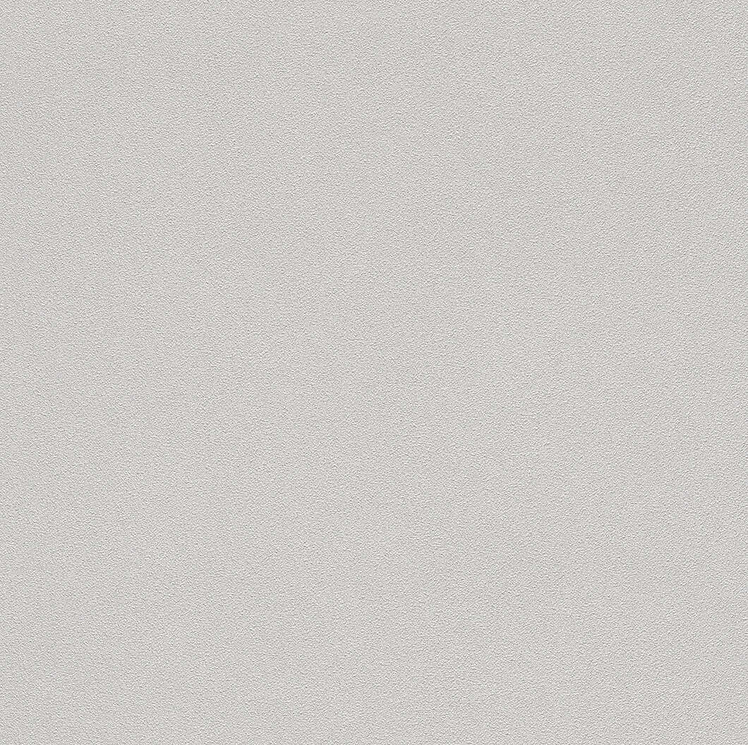 10-479447 Artikelscan 1 Helle Vliestapete in einem kühlen Lichtgrau – dezent und perfekt für minimalistische Raumgestaltungen.