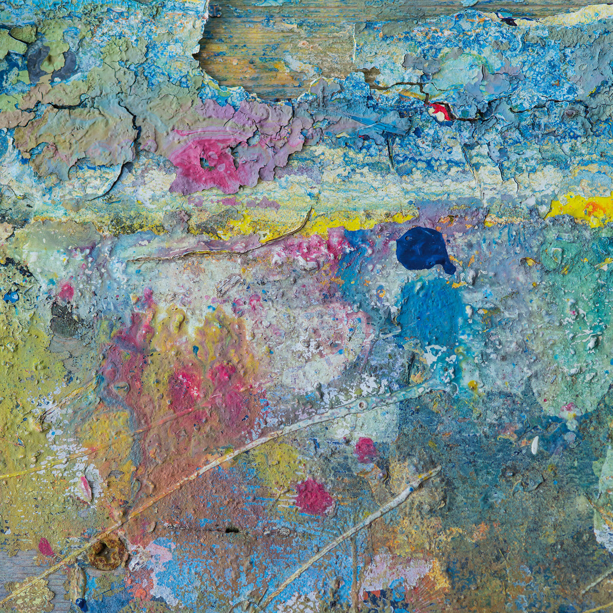 Young Artists photo wallpaper 101126