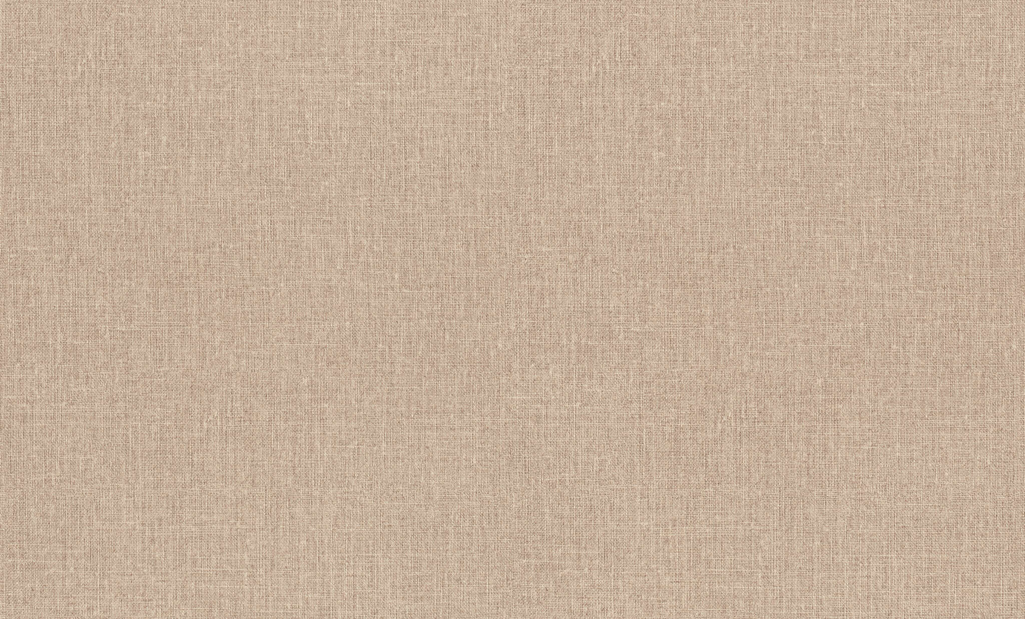 10-946086 Artikelscan 1 Vliestapete in Braun-hellbraun Studio Tissage 946086