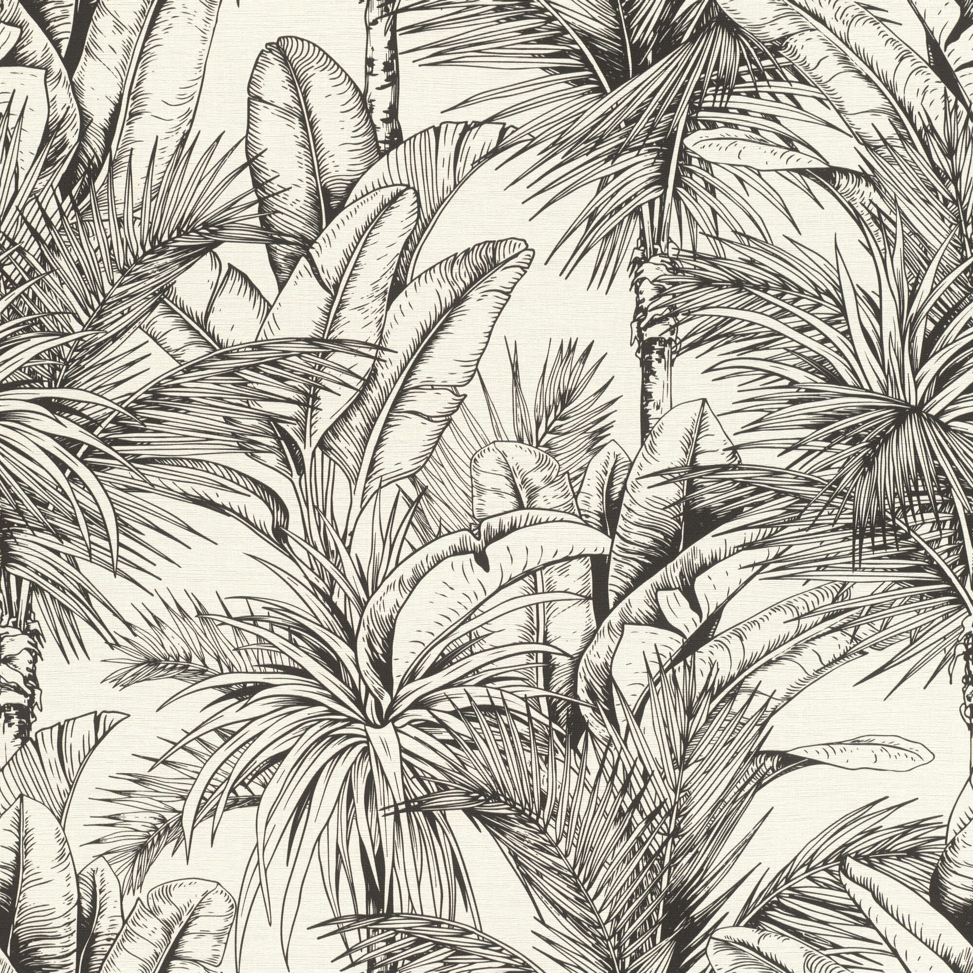 10-478013 Artikelscan 1 Detaillierte Pflanzenillustration mit Palmen und exotischem Blattwerk in schwarz-weißer Linienführung