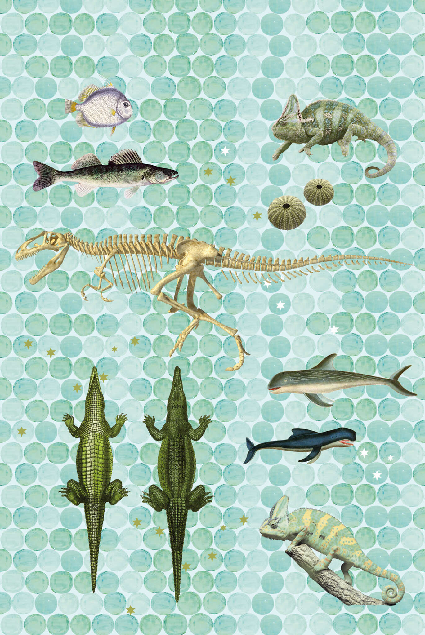 10-532081 Artikelscan 1 Wall mural with dinosaurs and reptiles 532081