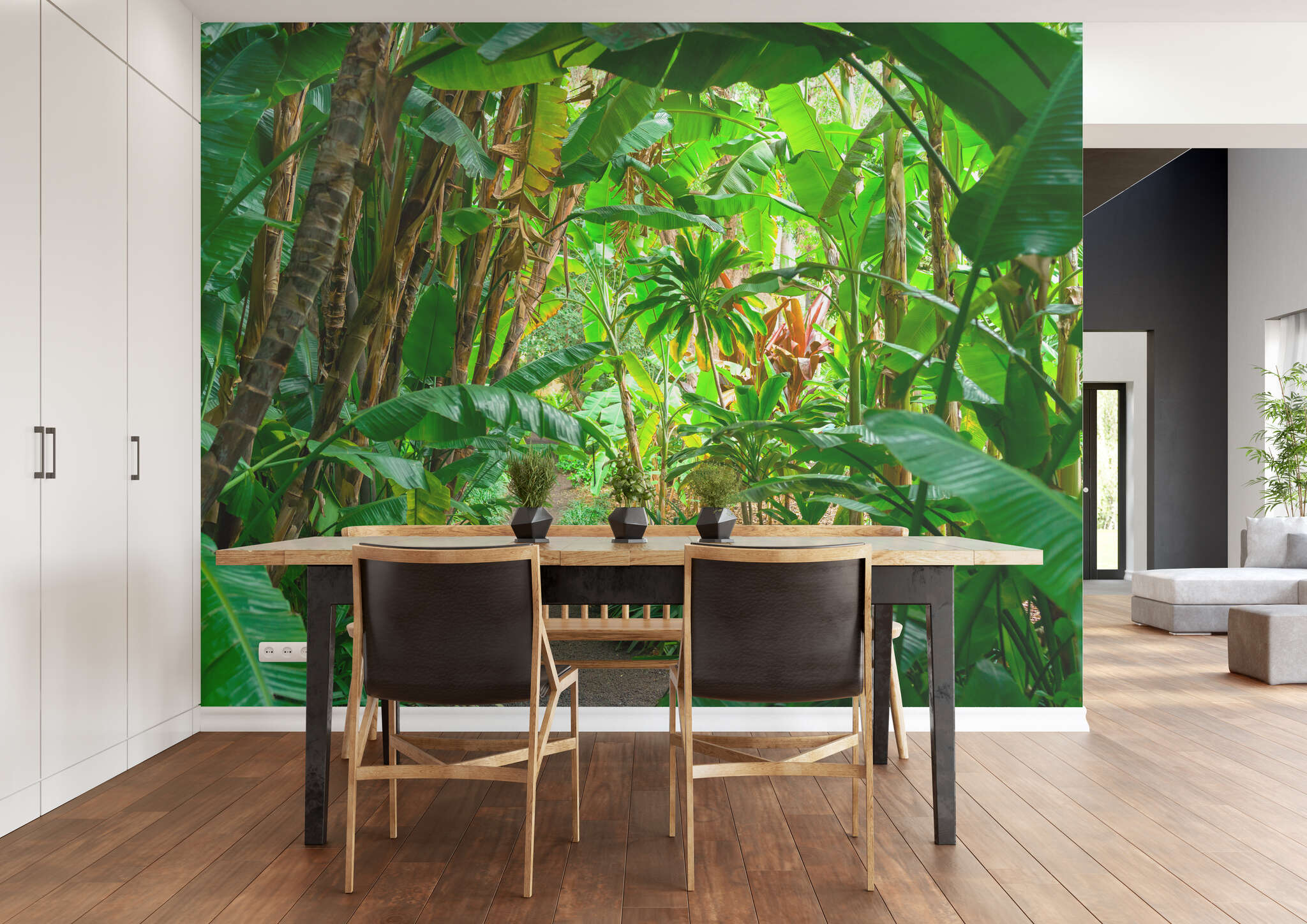 Esszimmer mit 363784 - Fototapete - Bananenblätter, Palmen und Gräser holen uns in den Dschungel magicwalls Fototapete Dschungel 363784