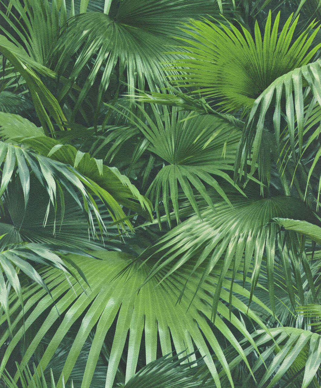 10-524901 Artikelscan 1 Palm wallpaper with a light texture