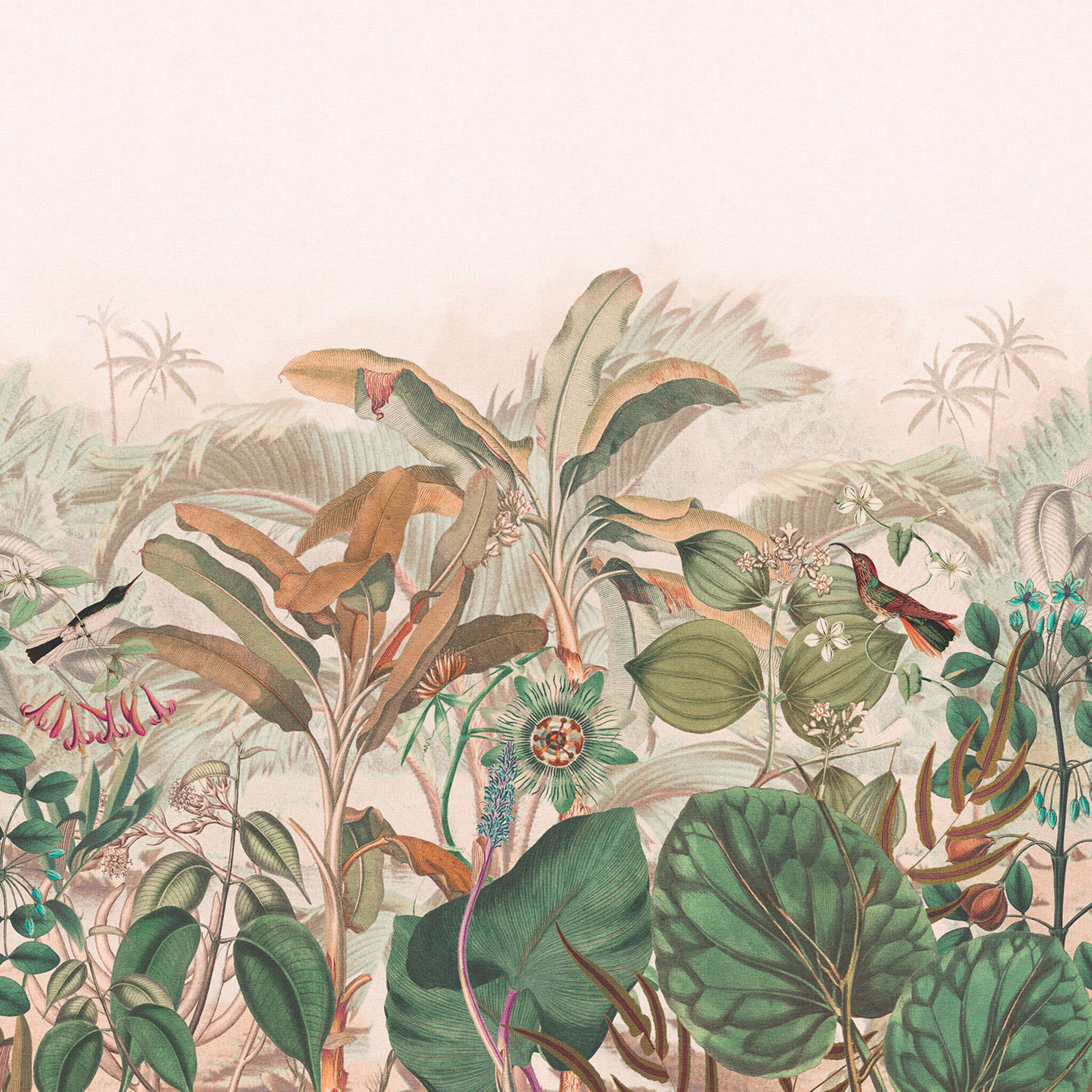 10-543667 D2C Vorschaubild 1