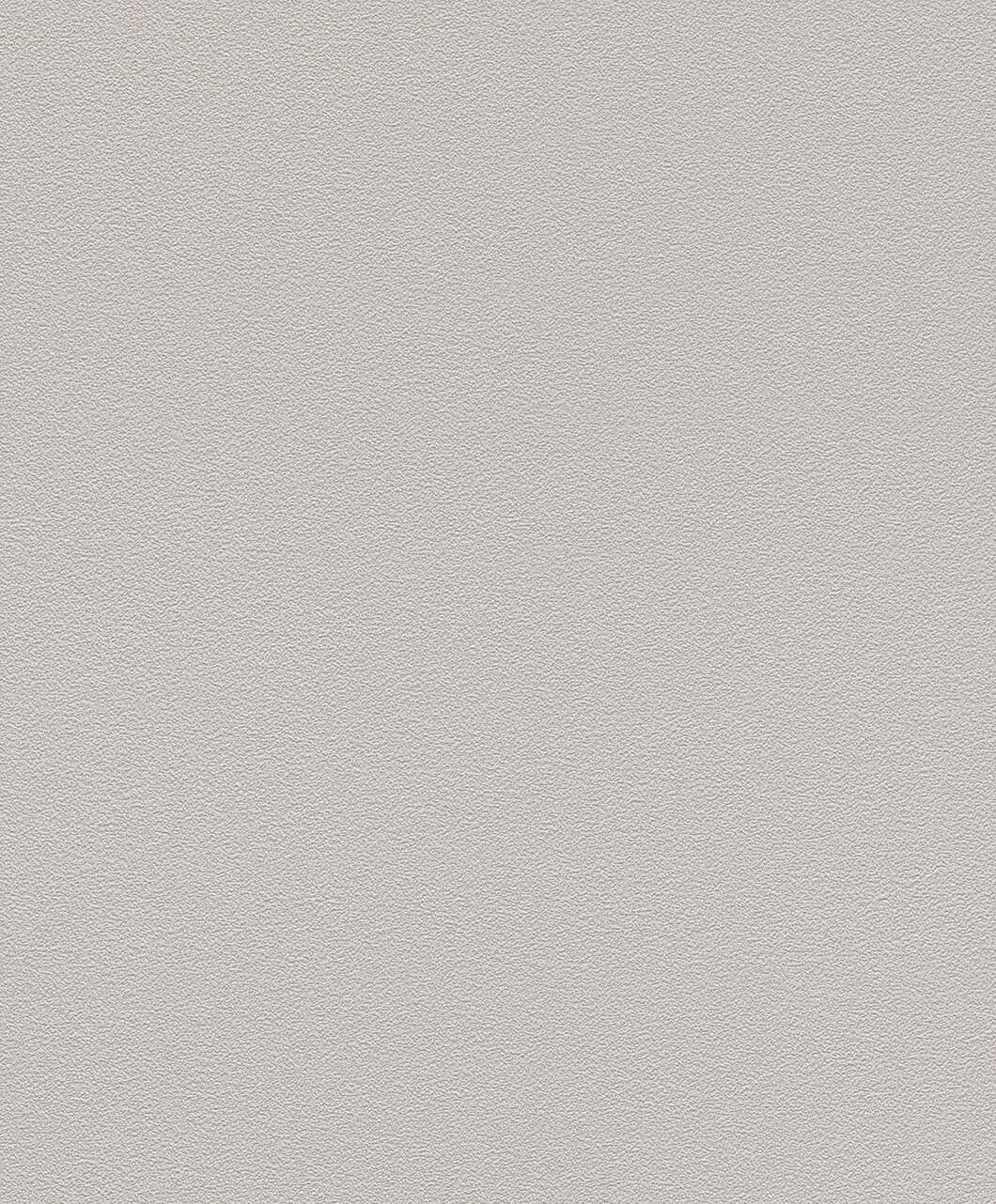 10-700350 Artikelscan 1 Non-woven wallpaper in gray Selection 700350