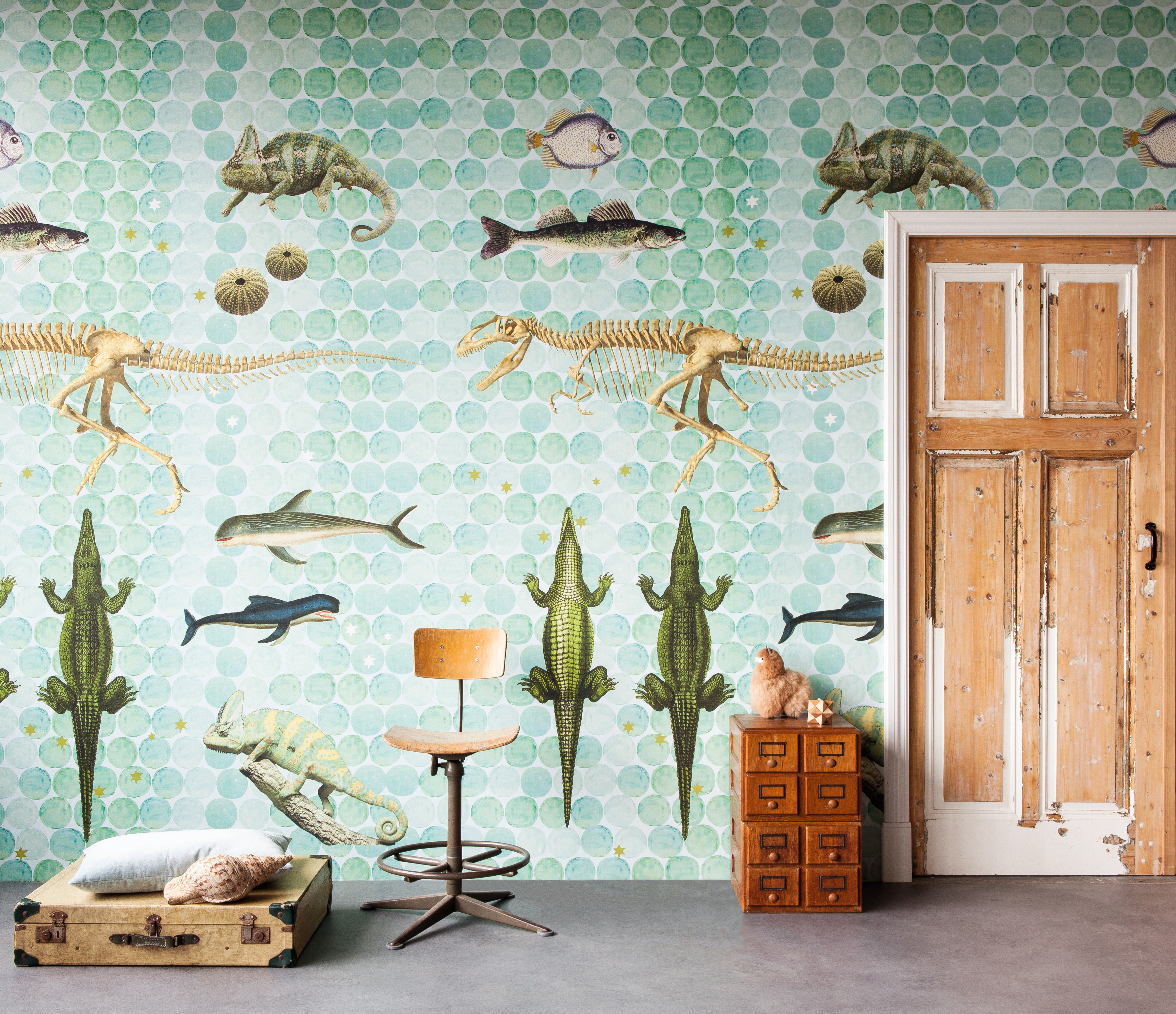 10-532081 Raumsituationen 1 Wall mural with dinosaurs and reptiles 532081
