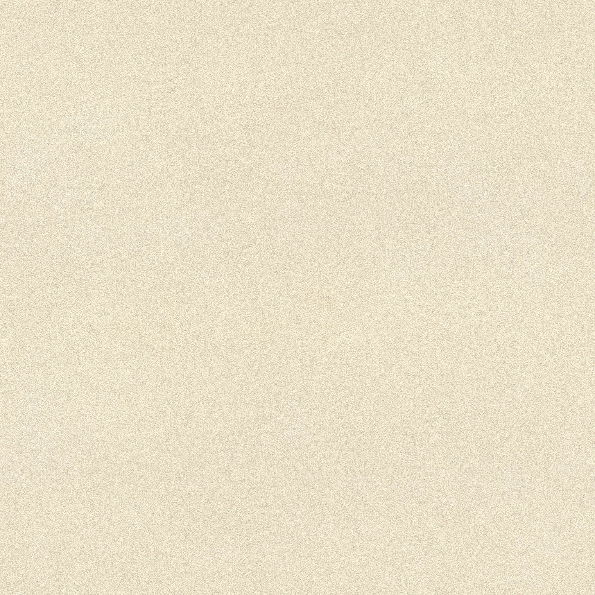 10-479485 Artikelscan 1 Tapete mit weichem Beigeton und körniger Oberfläche – ruhige, freundliche Wirkung für helle, naturnahe Raumkonzepte.