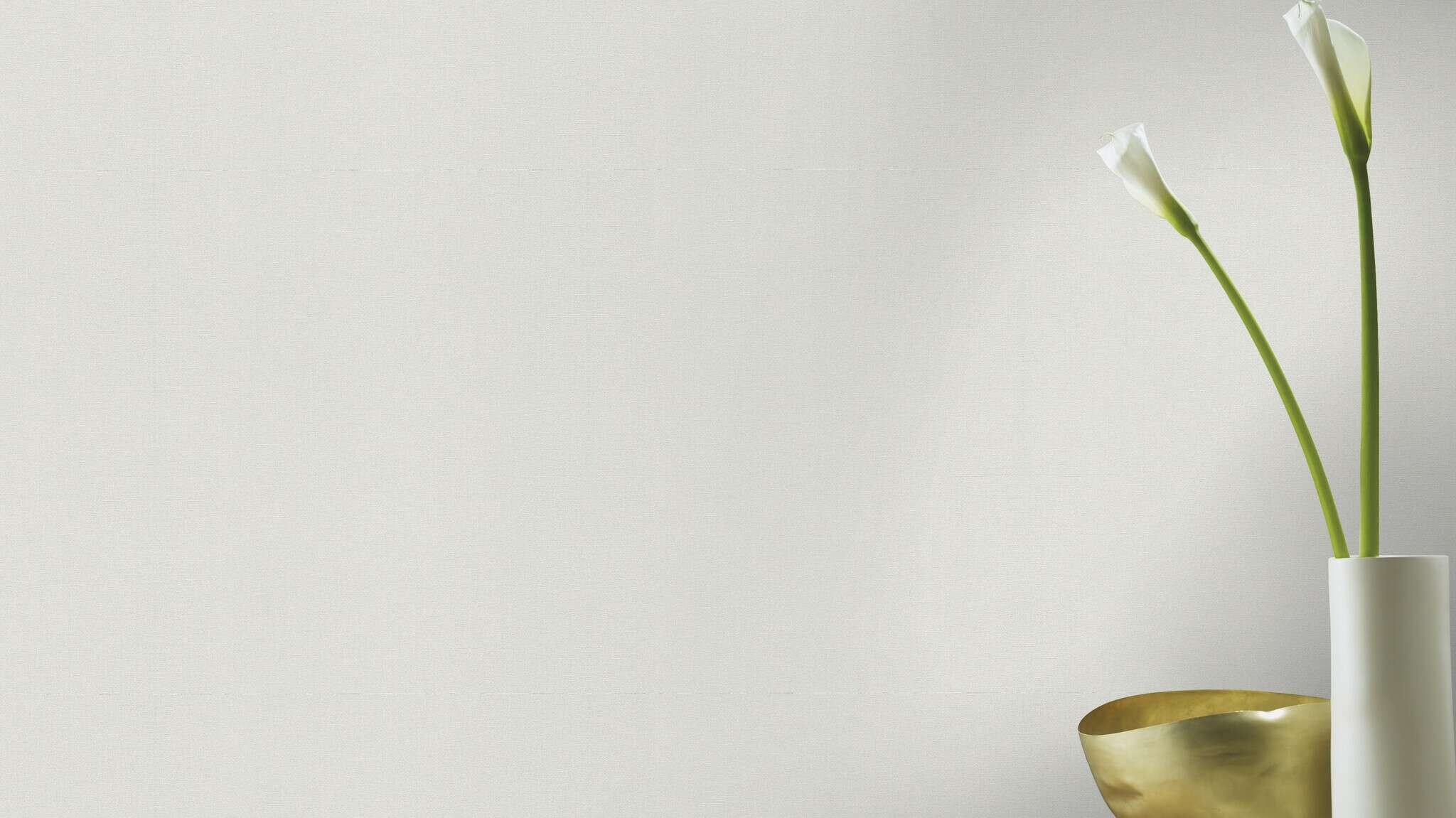 10-479324 Raumsituationen 6 White non-woven wallpaper with texture 479324
