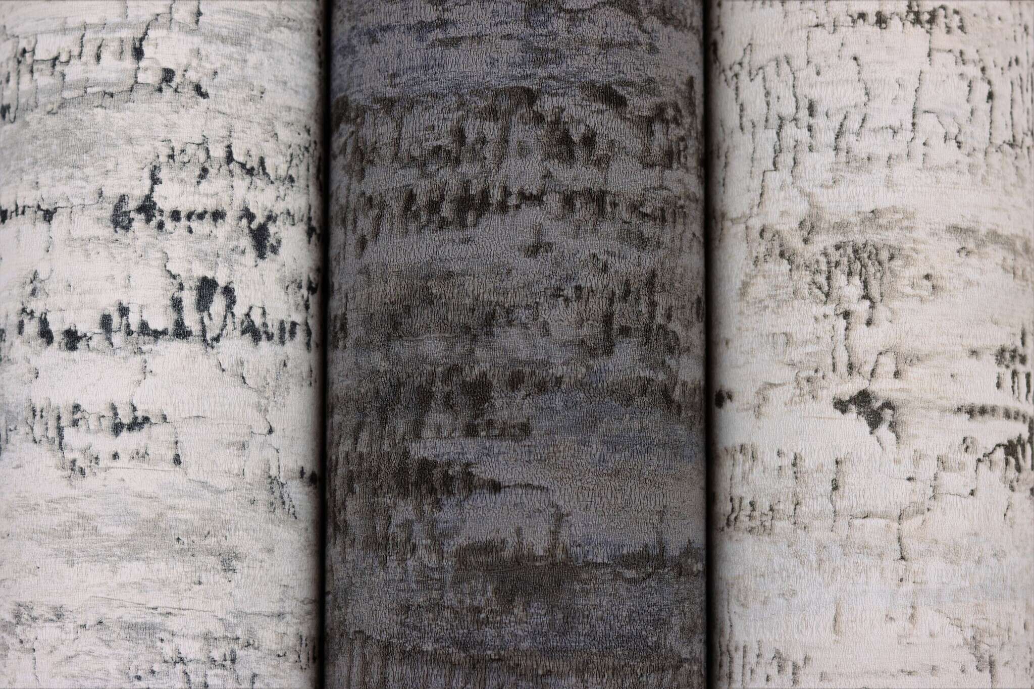 10-554045 Detailaufnahmen 4 Detailed image of Wallpaper with a grain that looks like tree bark