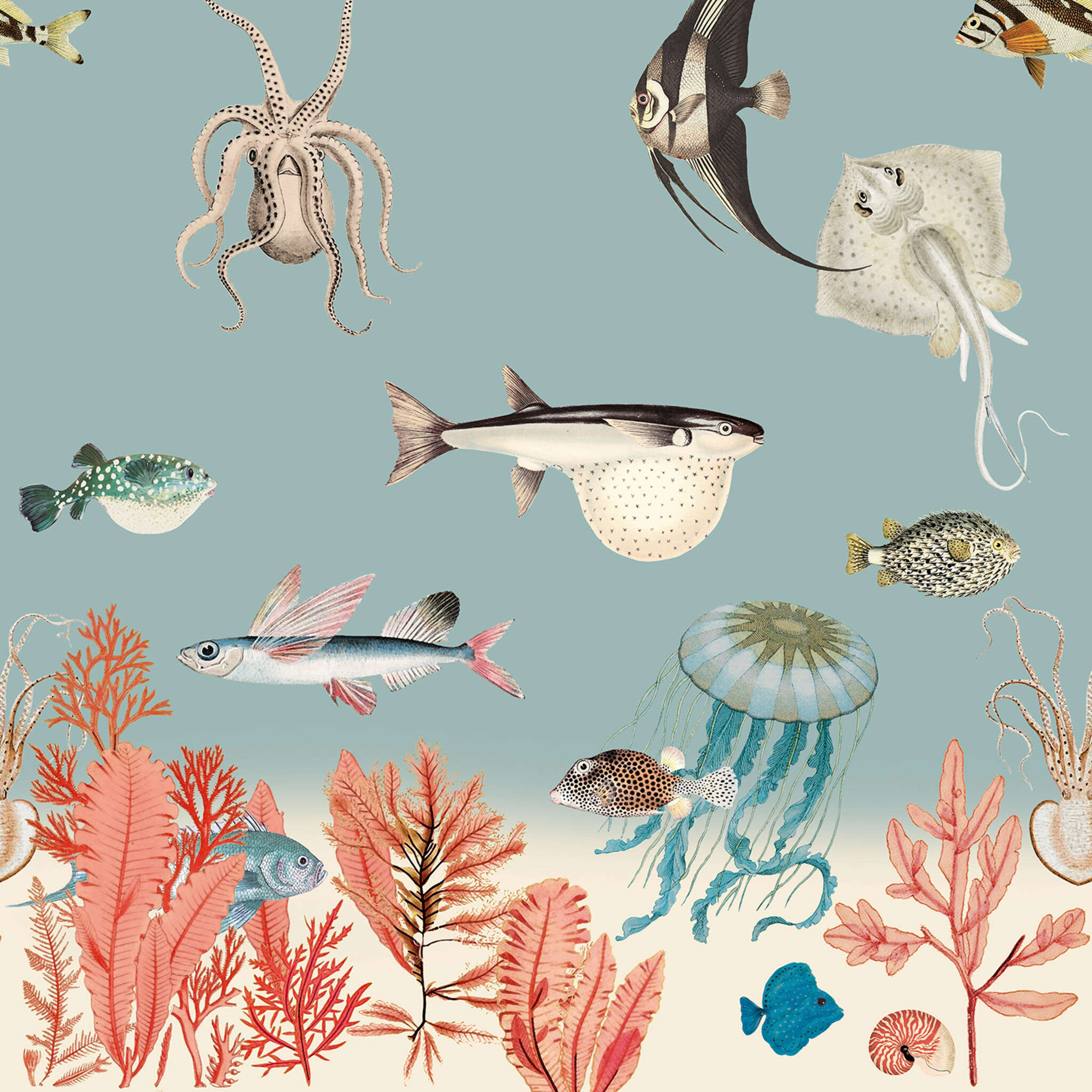 10-557497 D2C Vorschaubild 1 Fototapete Fische Unterwasser in Blau 557497