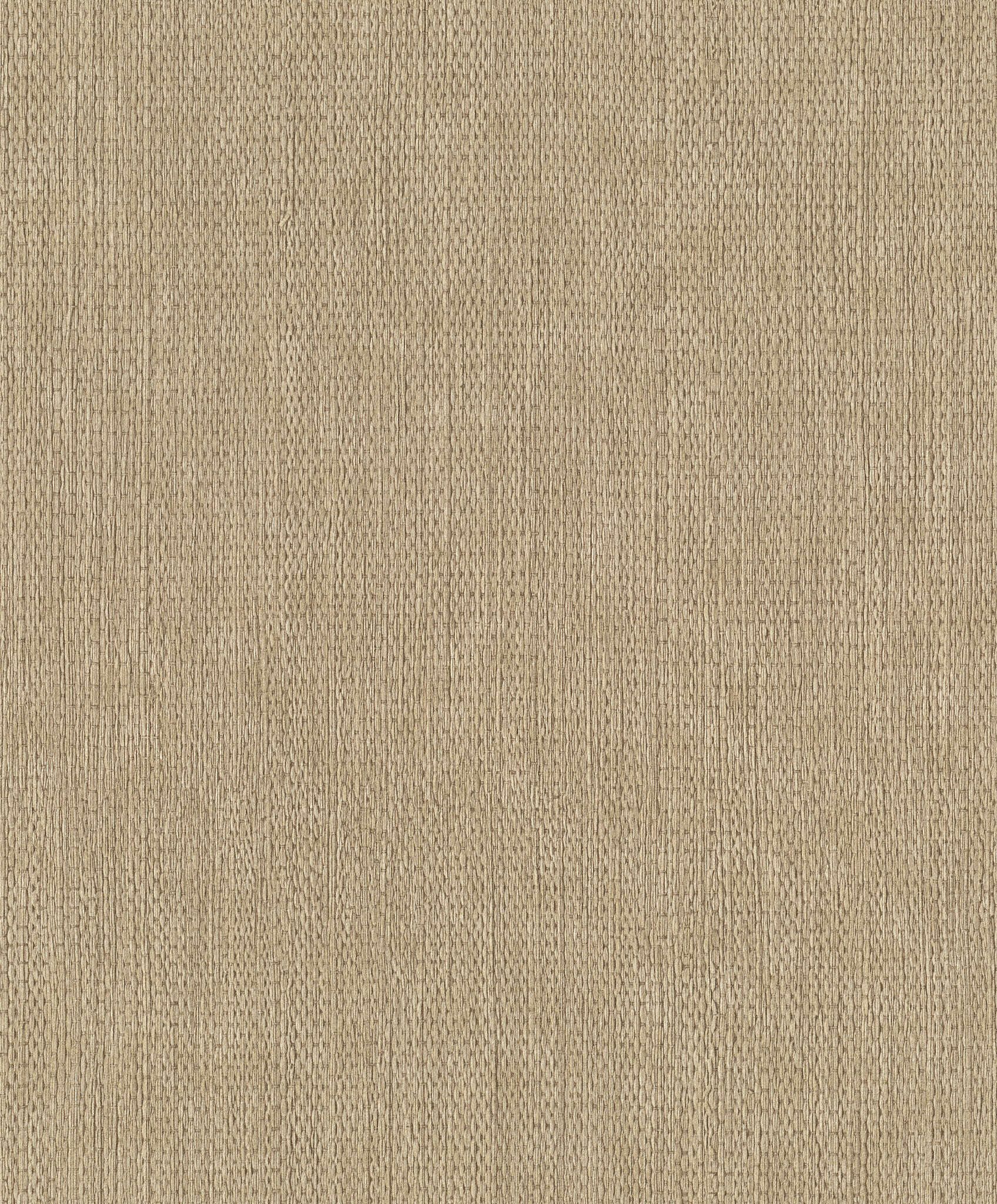 10-435559 Artikelscan 1