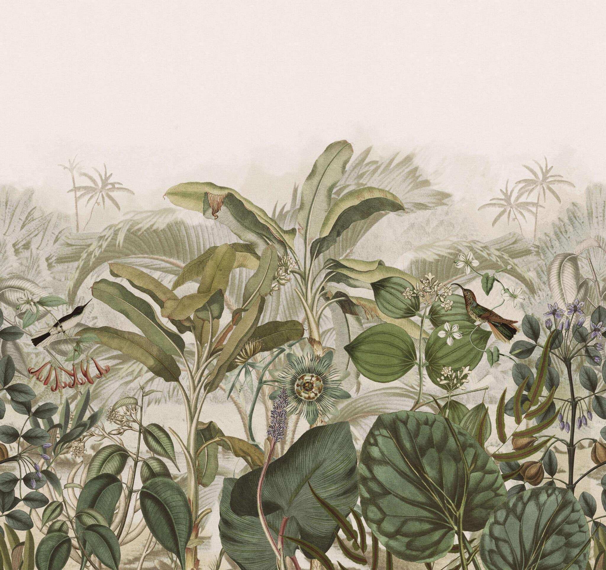 10-543681 Artikelscan 1 Tropical plants wall mural in green and beige Curiosity 543681