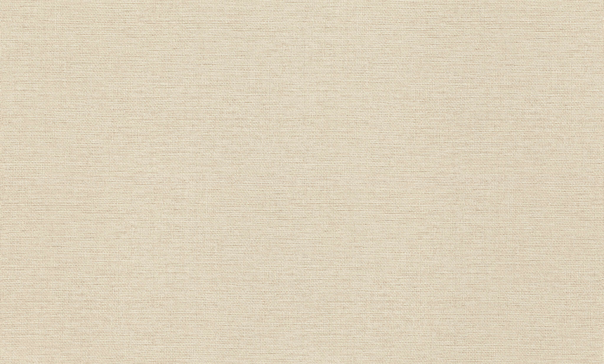 10-970609 Artikelscan 1 Plain non-woven wallpaper in beige-dark beige Wall Textures XL Vol. 3 970609