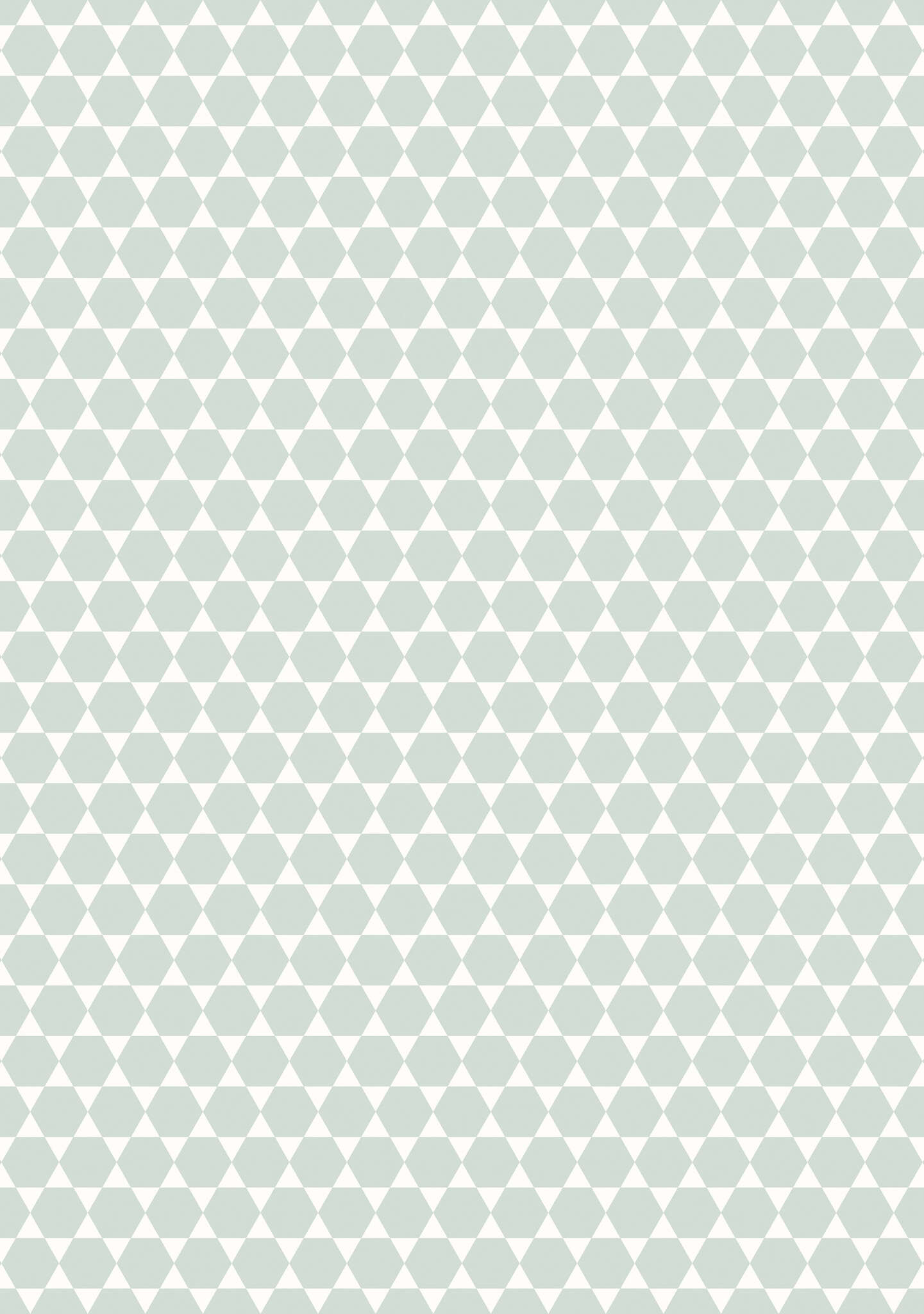 10-300355 Artikelscan 1 Fototapete Stars in Grau | Roomblush - RB084
