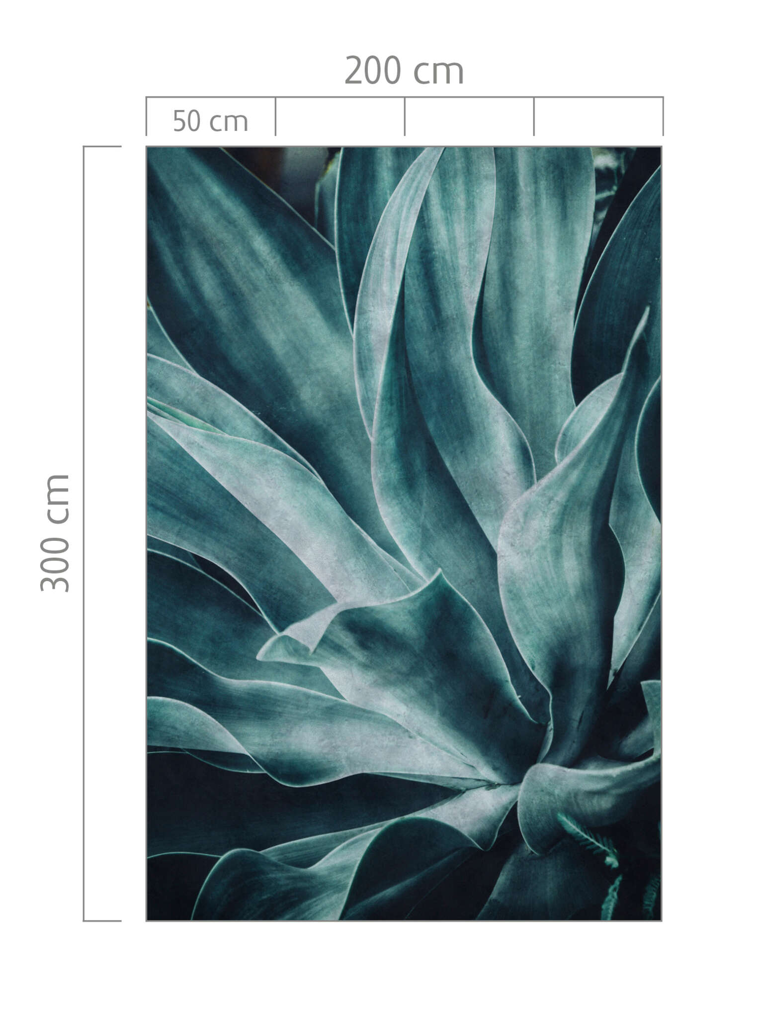 10-425796 Bildauschnitt 1 Wall mural Agave | Brick Lane 425796