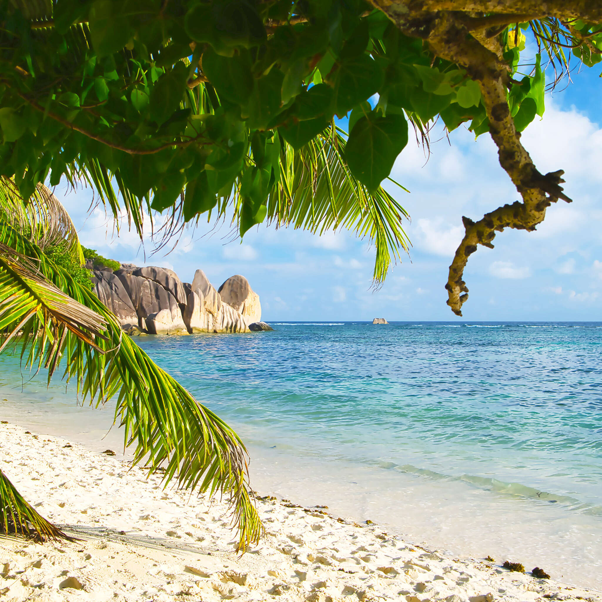 10-364712 D2C Vorschaubild 1