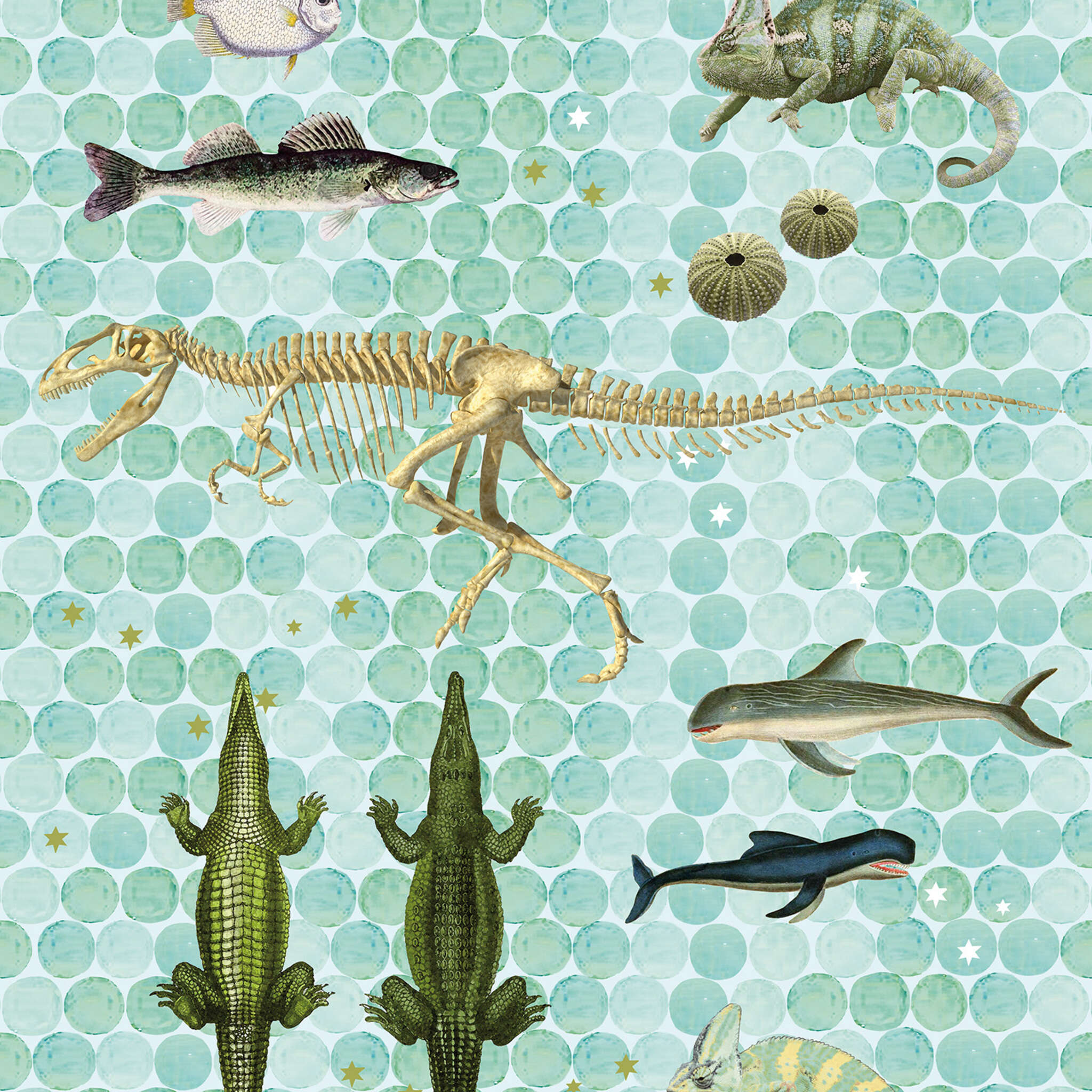 Fototapete mit Dinosauriern und Reptilien 532081