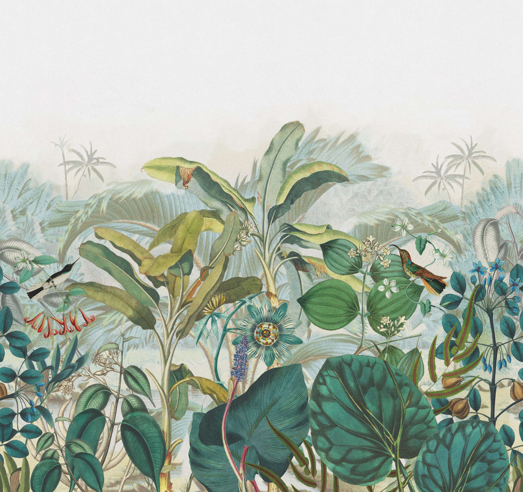 10-543643 Artikelscan 1 Papier peint panoramique plantes tropciales en vert Curiosity 543643
