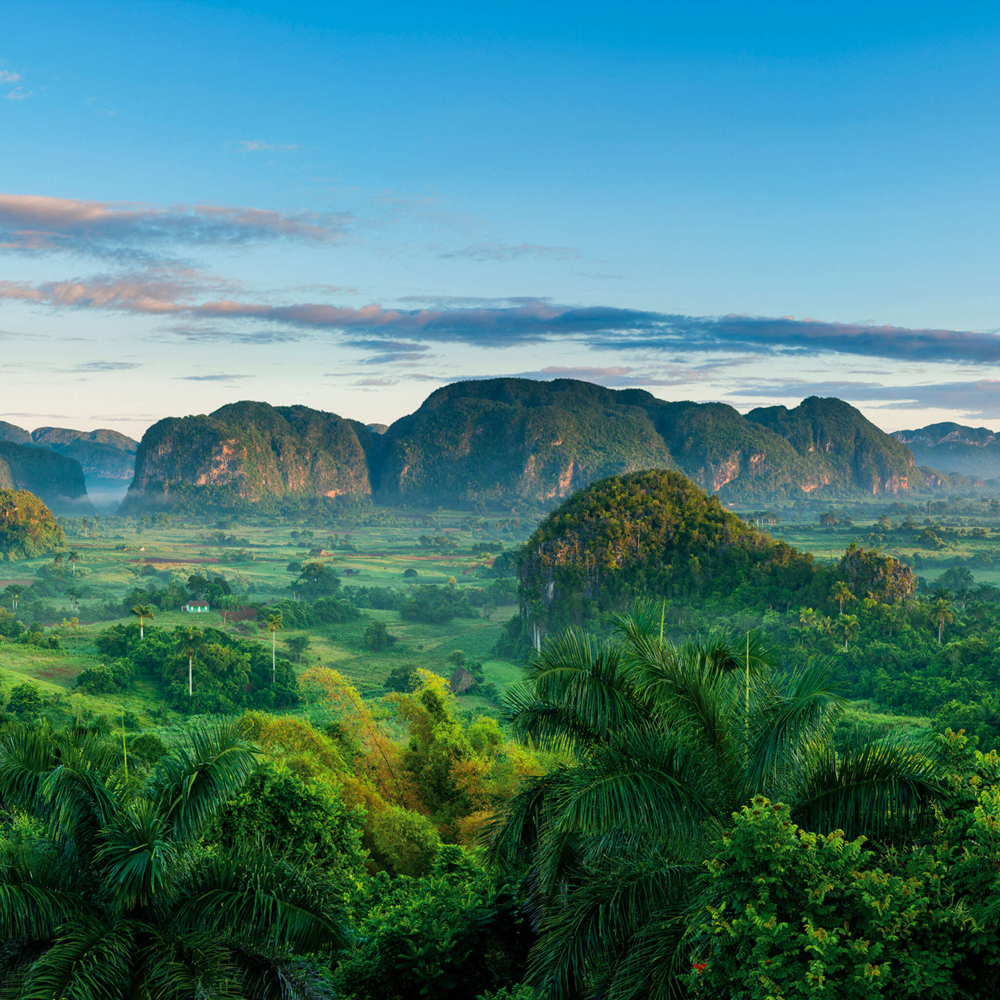 Young Artists photo wallpaper 101171