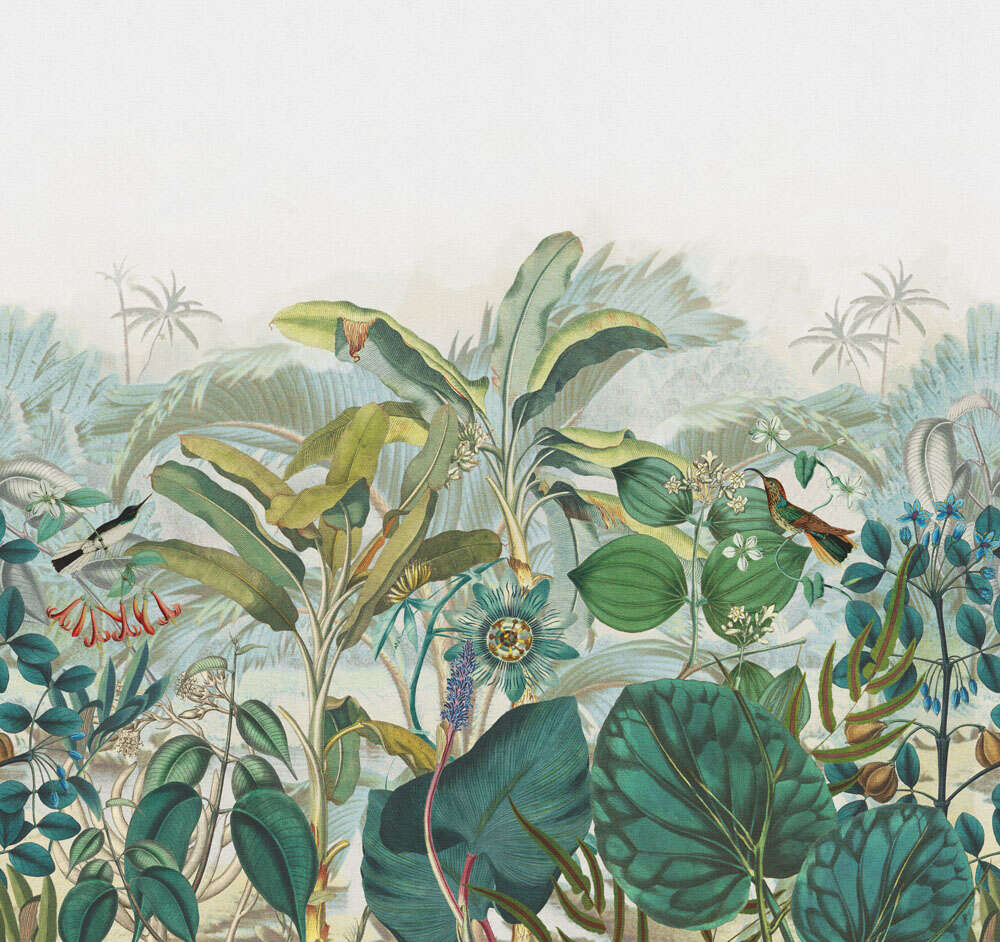 10-543643 Produktabbildung (ohne Scans) 1 Papier peint panoramique plantes tropciales en vert Curiosity 543643