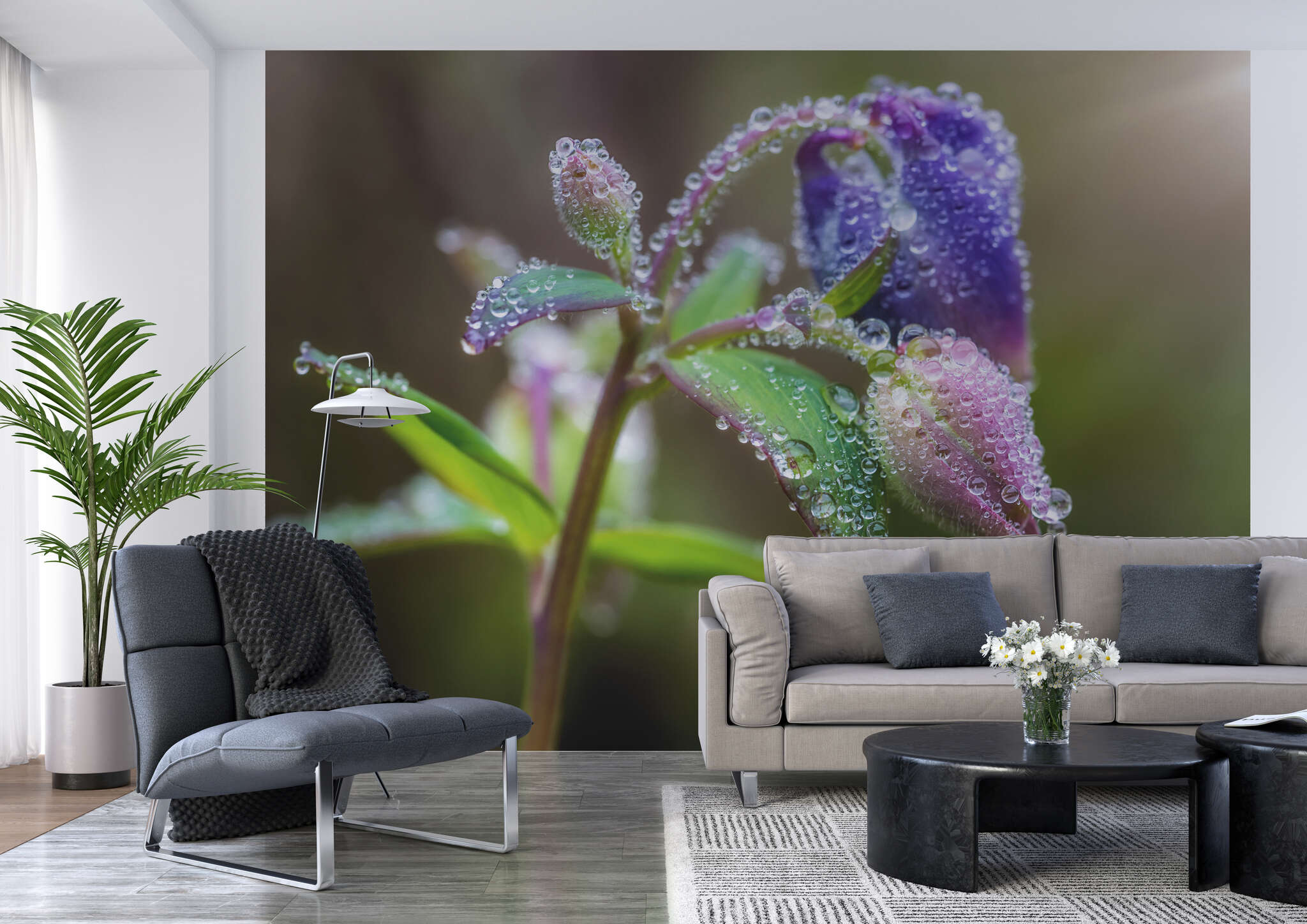 Wohnzimmer mit 363319 - Fototapete - Voller Fokus auf den Morgentau der schillernden Blüte magicwalls photo wallpaper flower in dew 363319