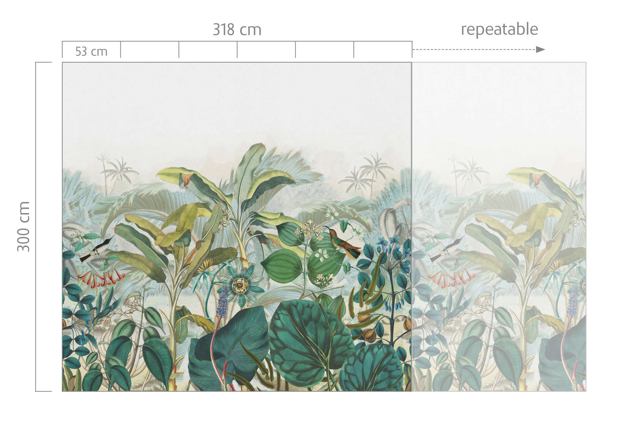 10-543643 Bildauschnitt 1 Papier peint panoramique plantes tropciales en vert Curiosity 543643