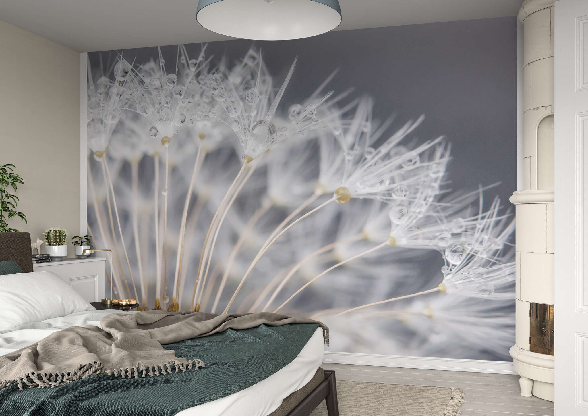 Schlafzimmer mit 363333 - Fototapete - Makro-Aufnahme vom Ausschnitt eines Pusteblumen-Kopfs magicwalls macro dandelion wallpaper 363333
