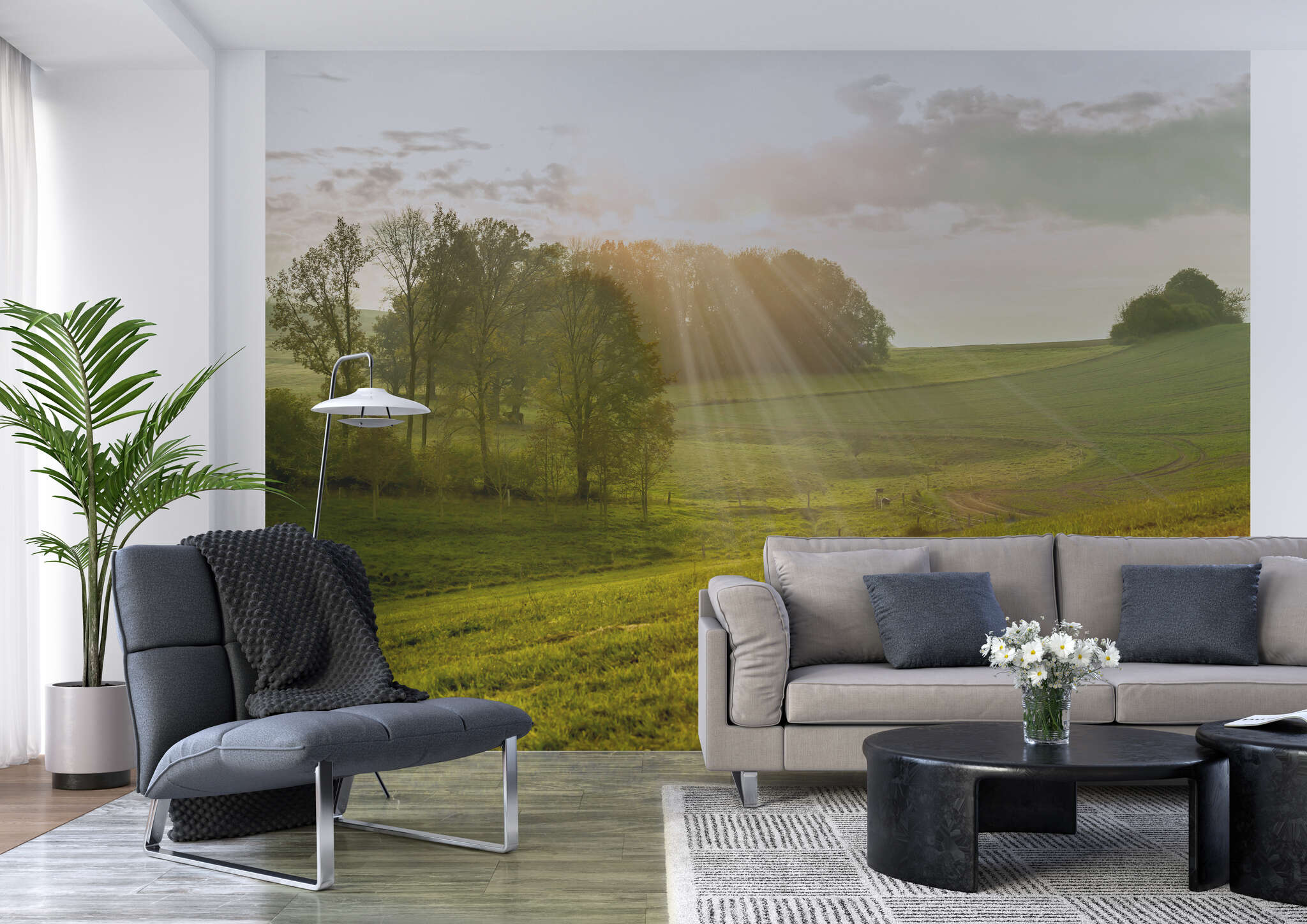 Wohnzimmer mit 363432 - Fototapete - Einzelne Sonnenstrahlen veredeln diese sattgrüne Wiesenlandschaft magicwalls photo wallpaper 363432