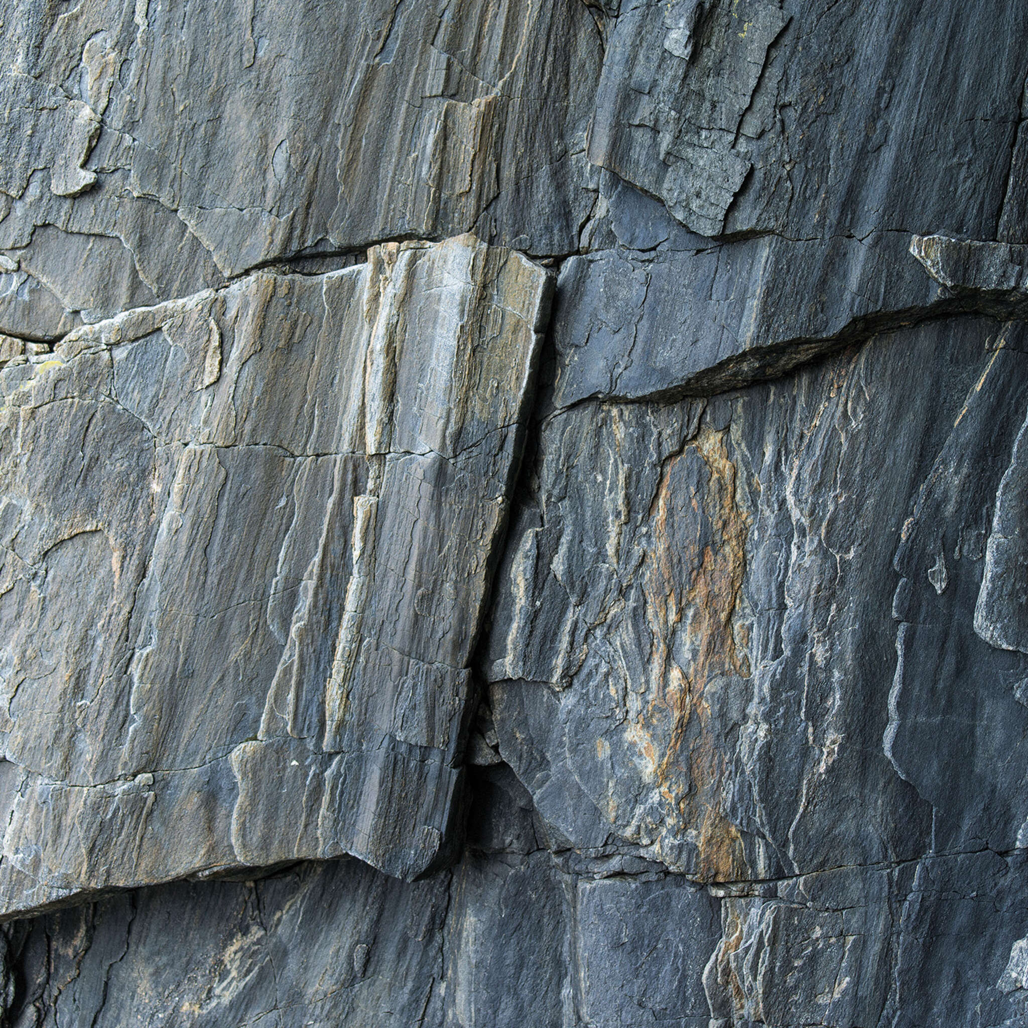 Young Artists photo wallpaper 100358