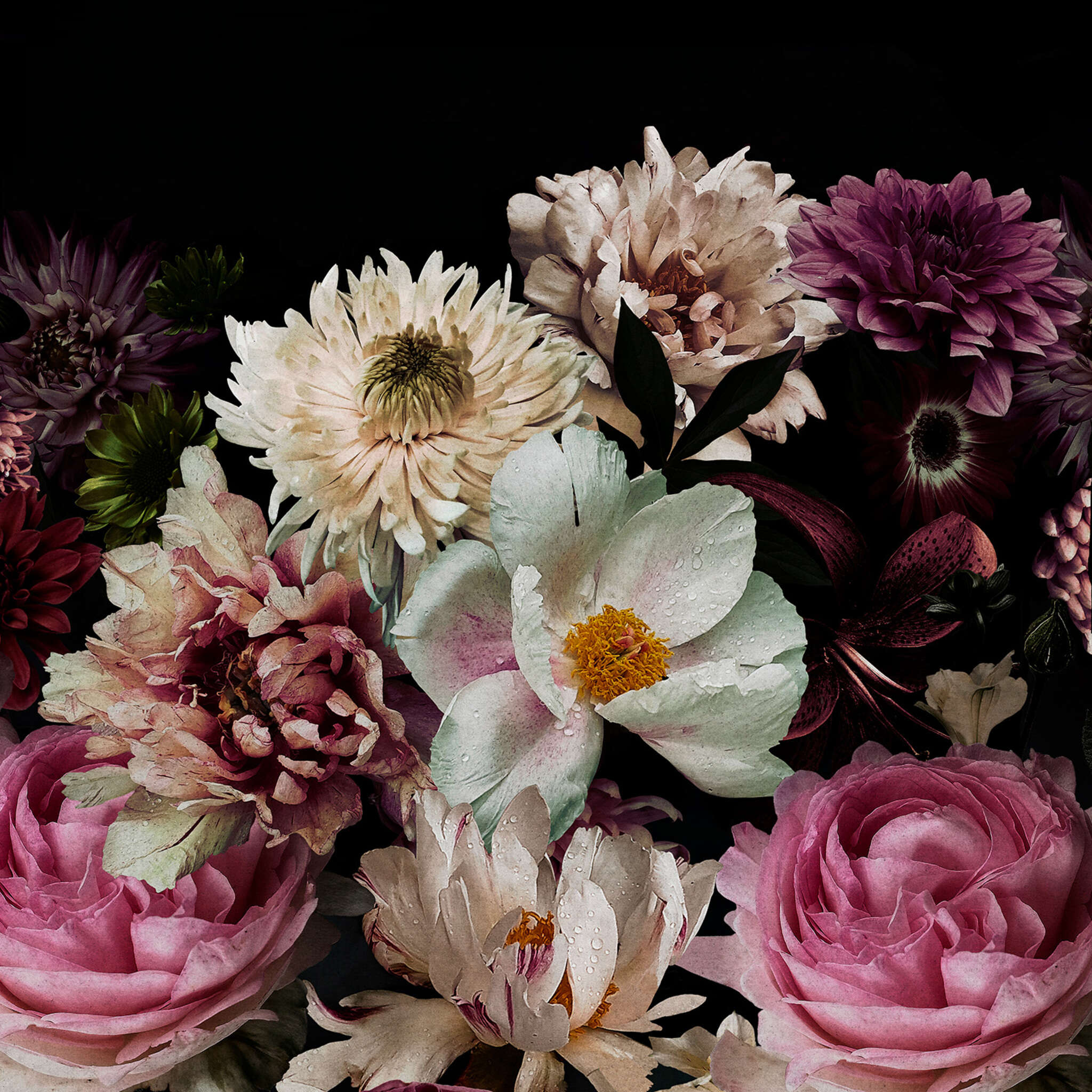 10-363821 D2C Vorschaubild 1 Fototapete Blumen magicwalls 363821